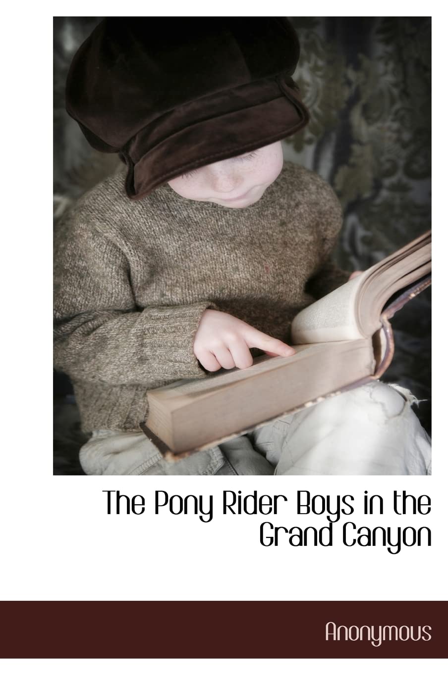 The Pony Rider Boys in the Grand Canyon Politics & History