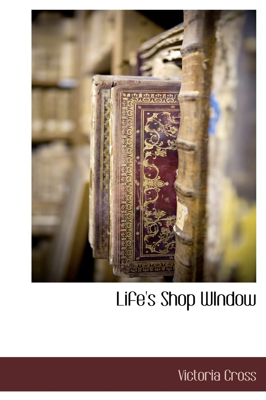Life's Shop Window Politics & History