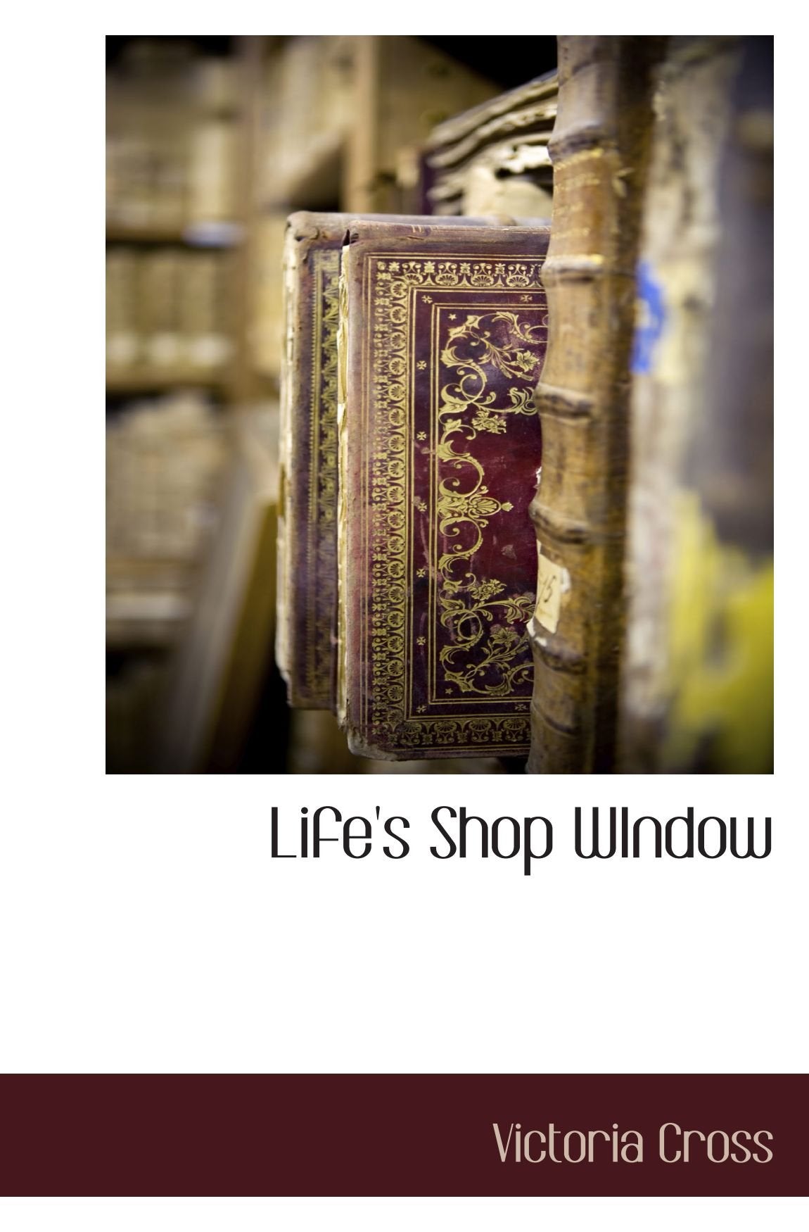 Life's Shop WIndow Politics & History