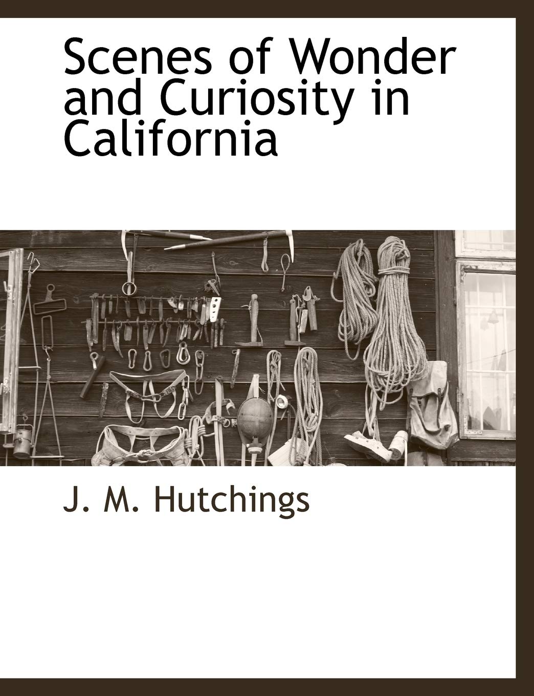 Scenes of Wonder and Curiosity in California Leisure & Fun
