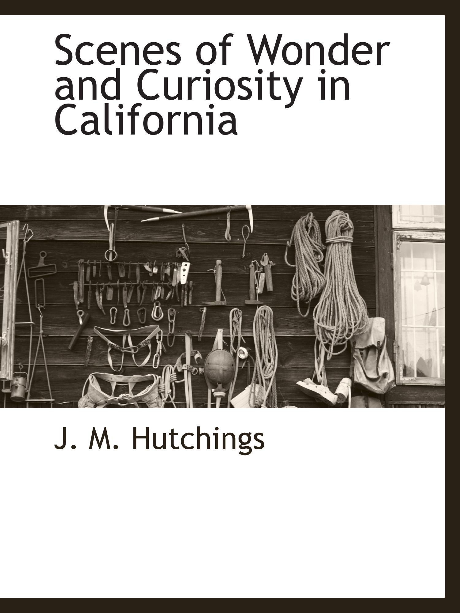 Scenes of Wonder and Curiosity in California Leisure & Fun