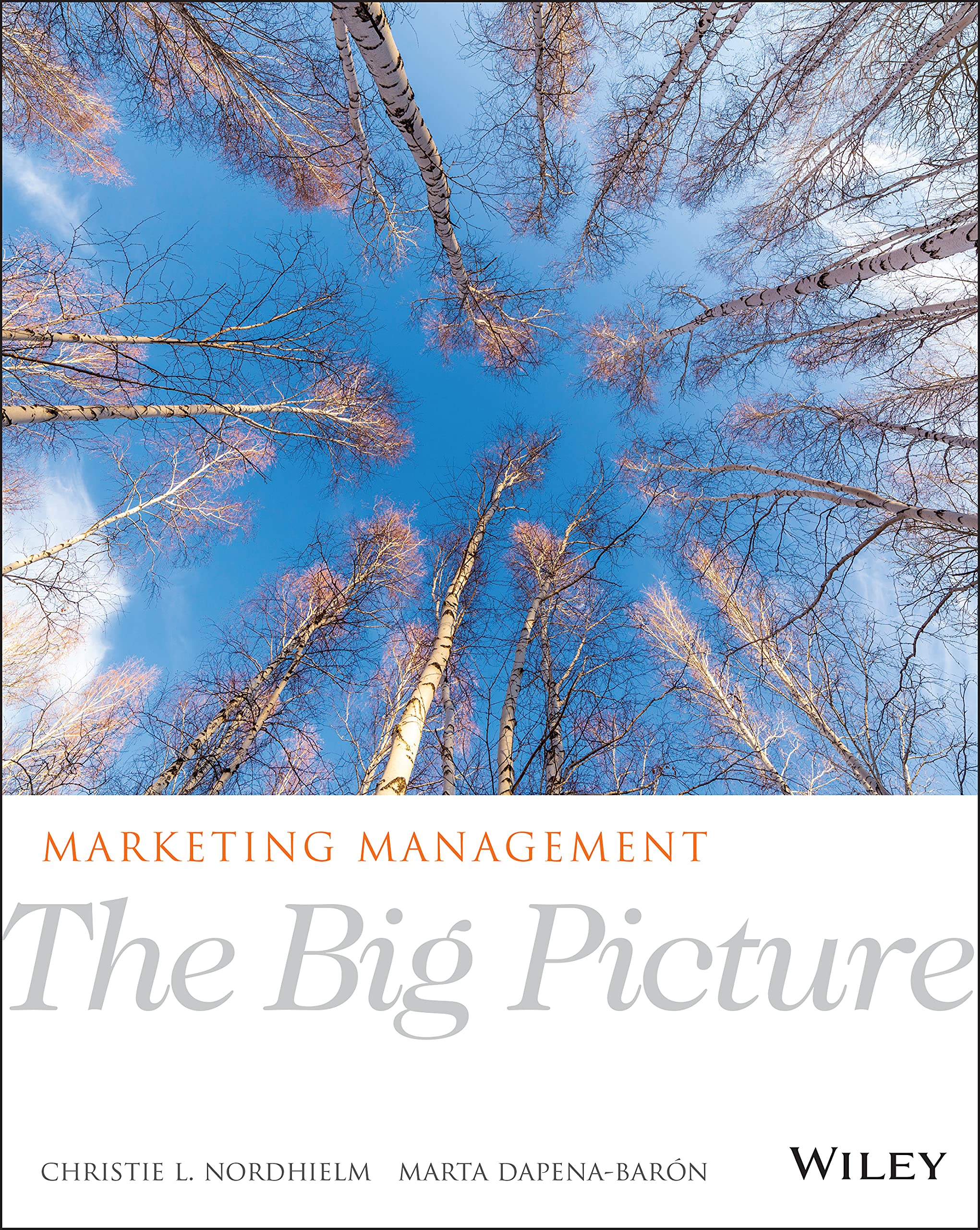 Marketing Management: The Big Picture Business, Finance & Career
