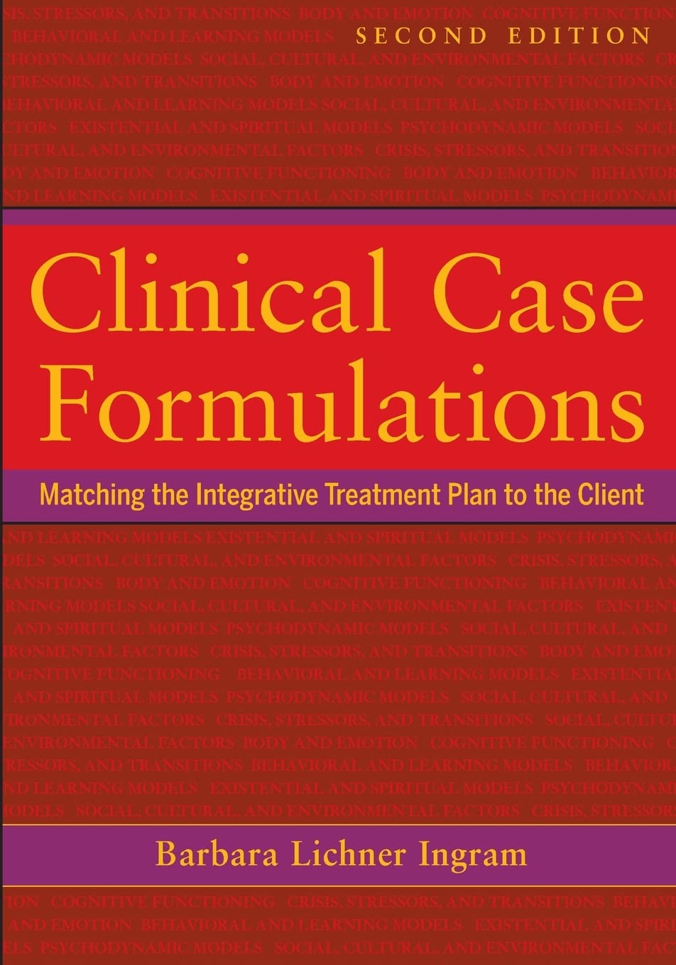 Clinical Case Formulations: Matching the Integrative Treatment Plan to the Client Medicine