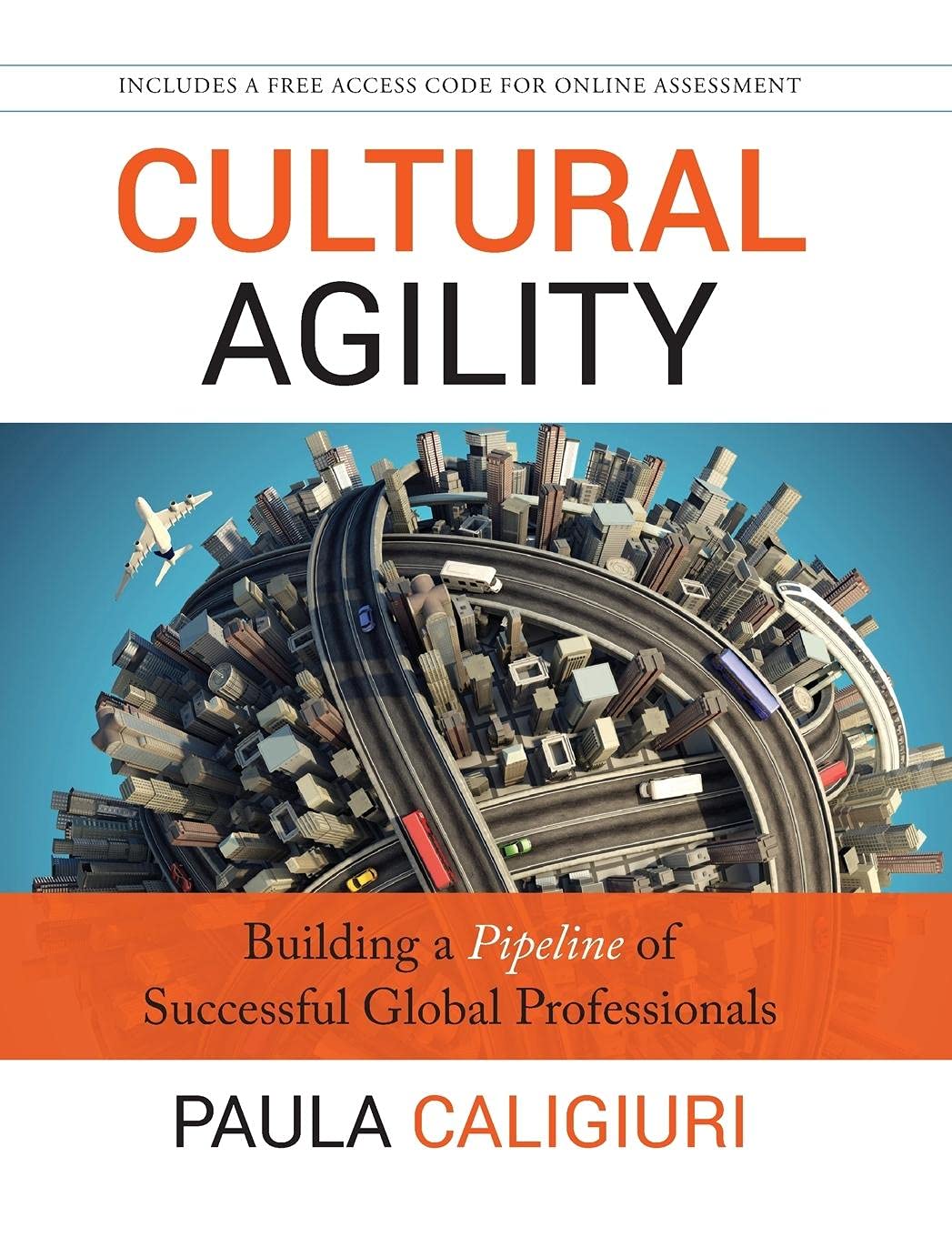 Cultural Agility: Building a Pipeline of Successful Global Professionals Law