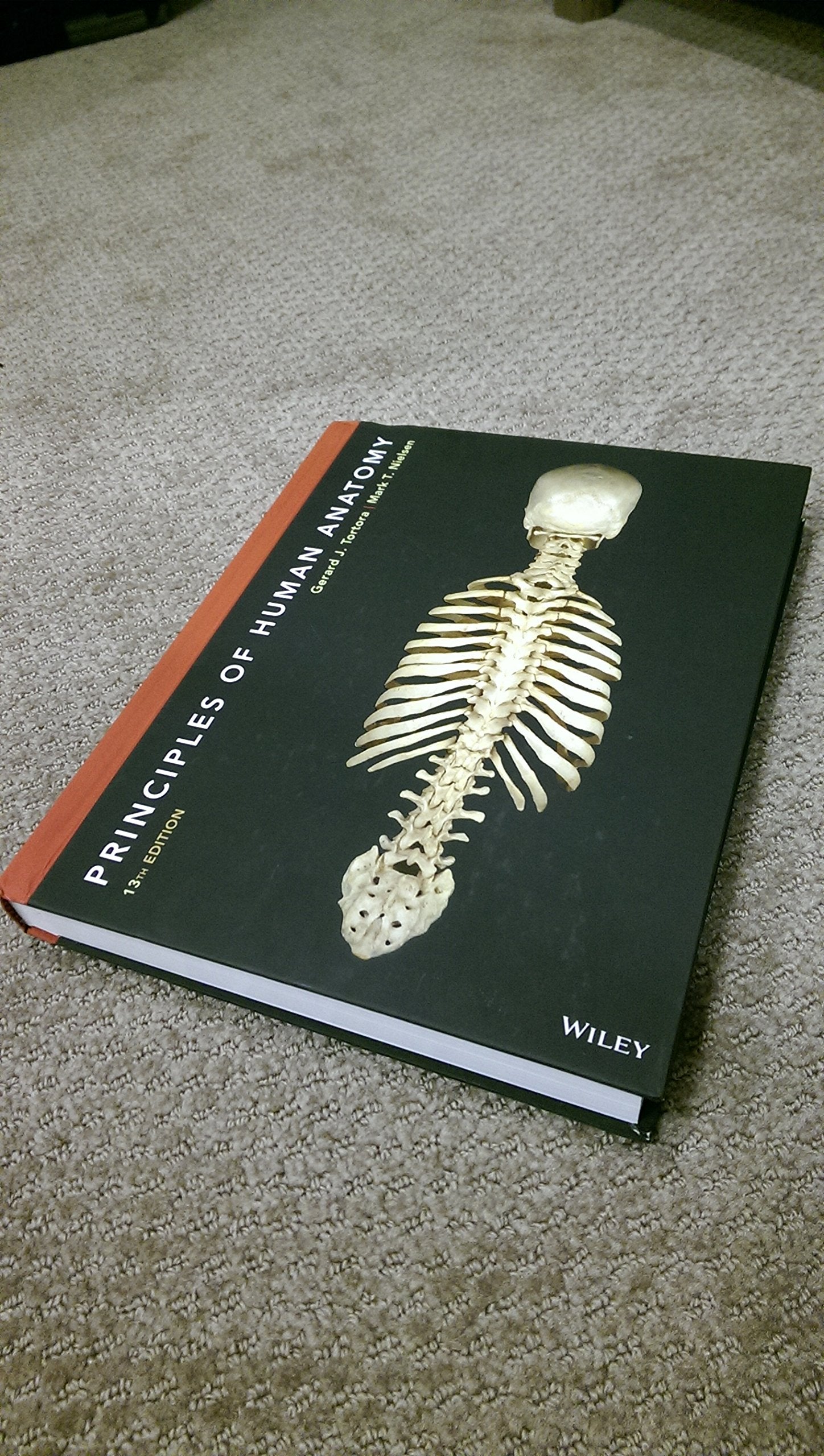 Principles of Human Anatomy Medicine