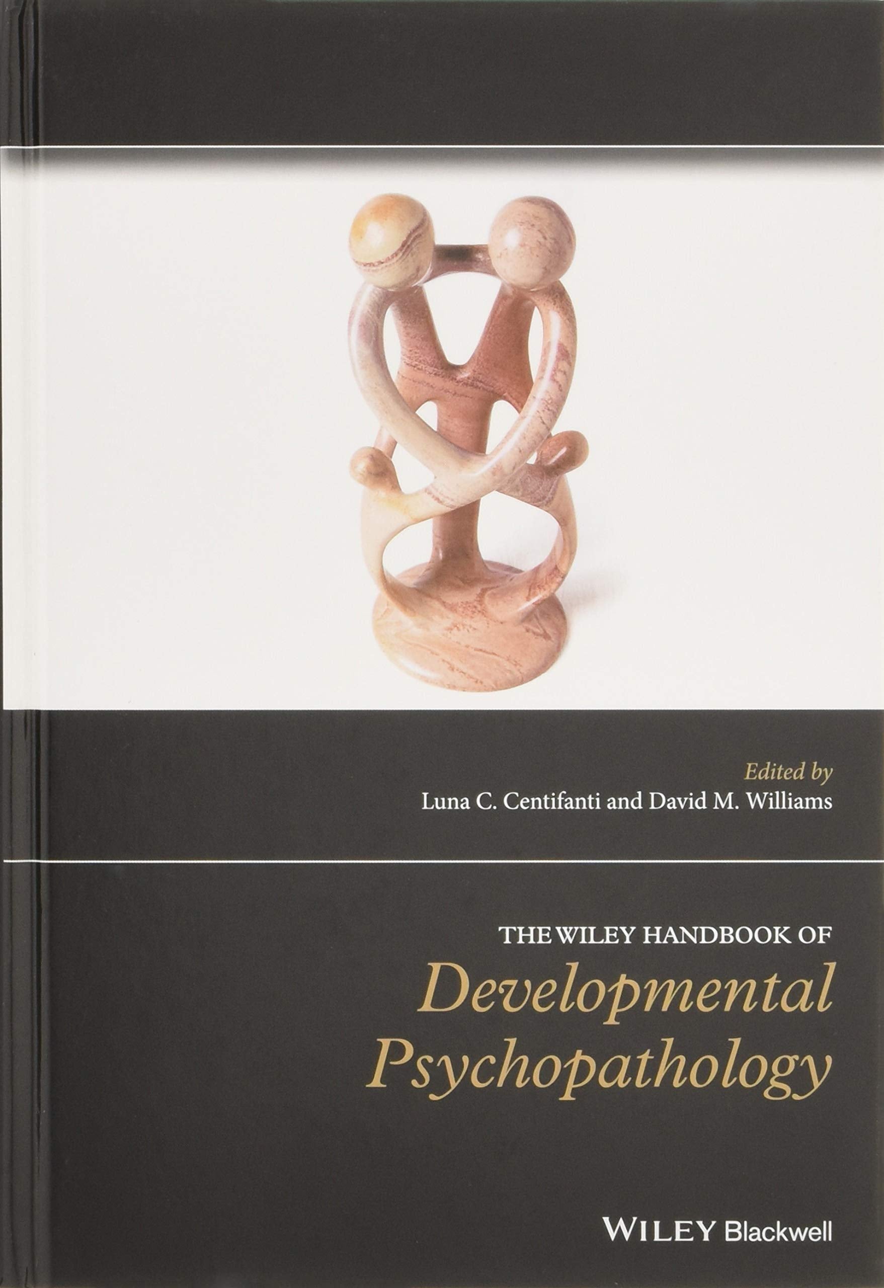 The Wiley Handbook of Developmental Psychopathology (Wiley Clinical Psychology Handbooks) Psychology