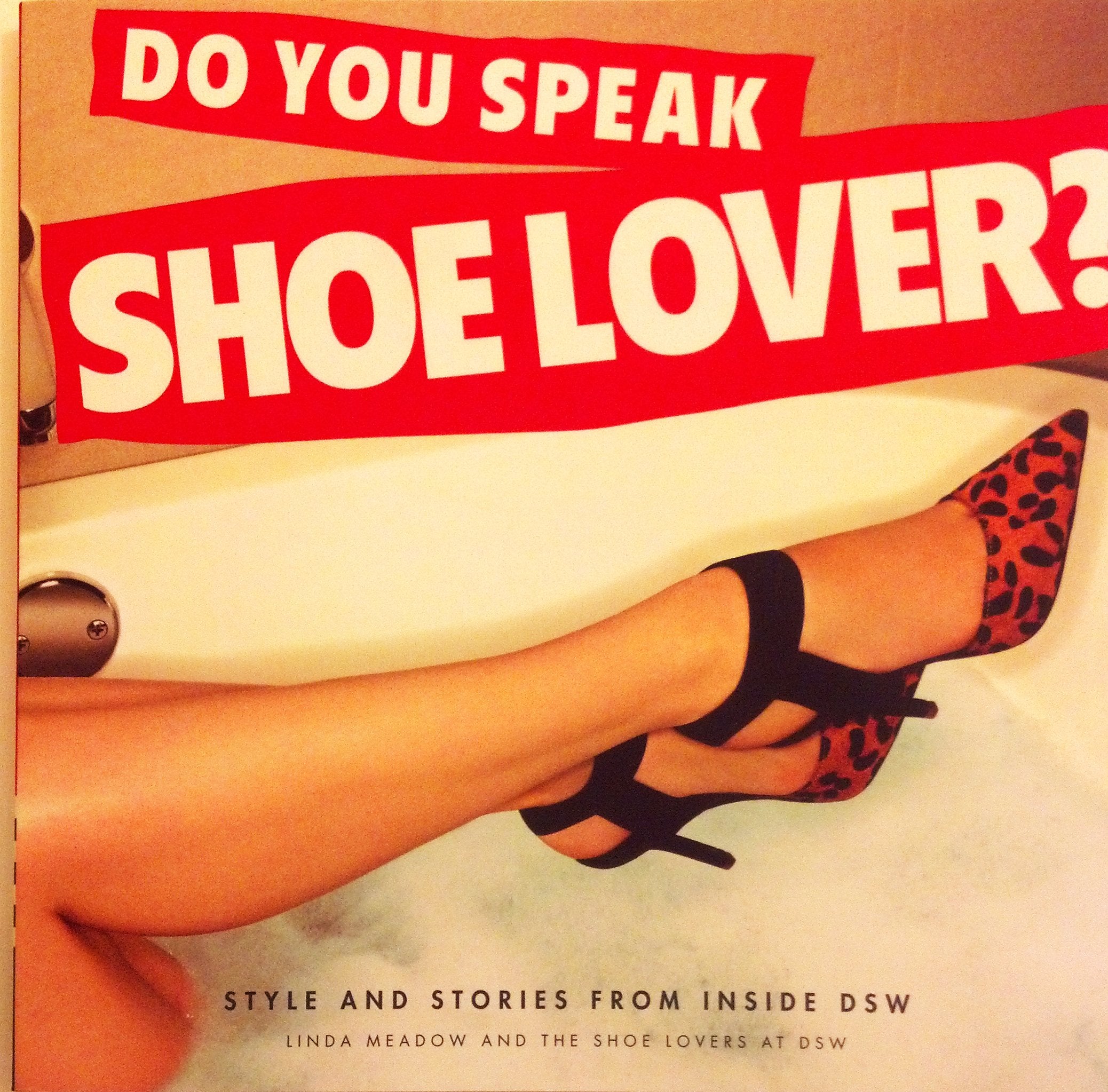 Do You Speak Shoe Lover?: Style and Stories from Inside DSW Law