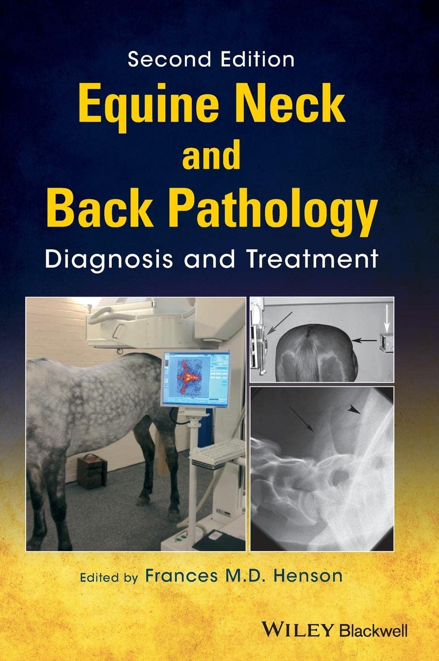 Equine Neck and Back Pathology: Diagnosis and Treatment Medicine