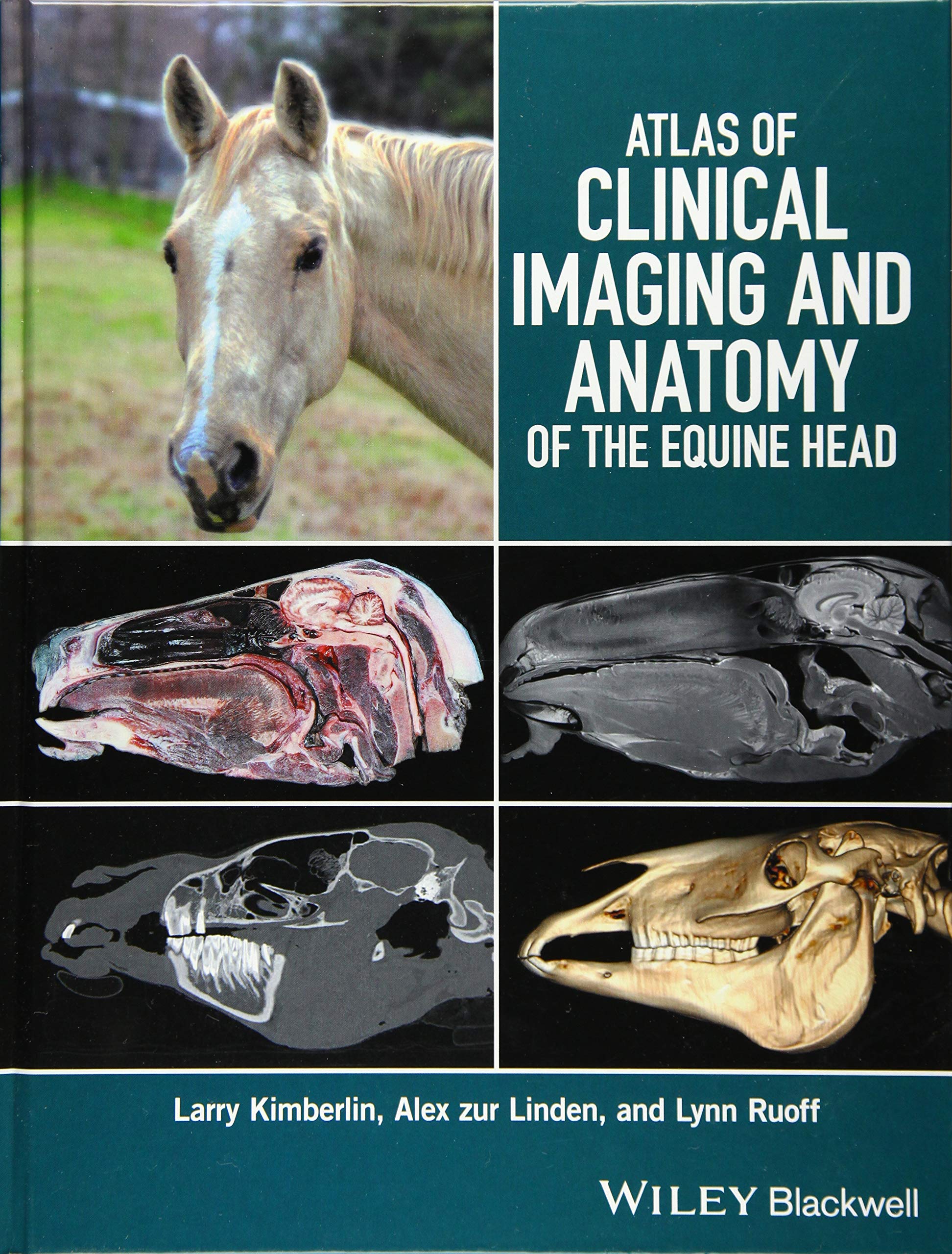 Atlas of Clinical Imaging and Anatomy of the Equine Head Medicine