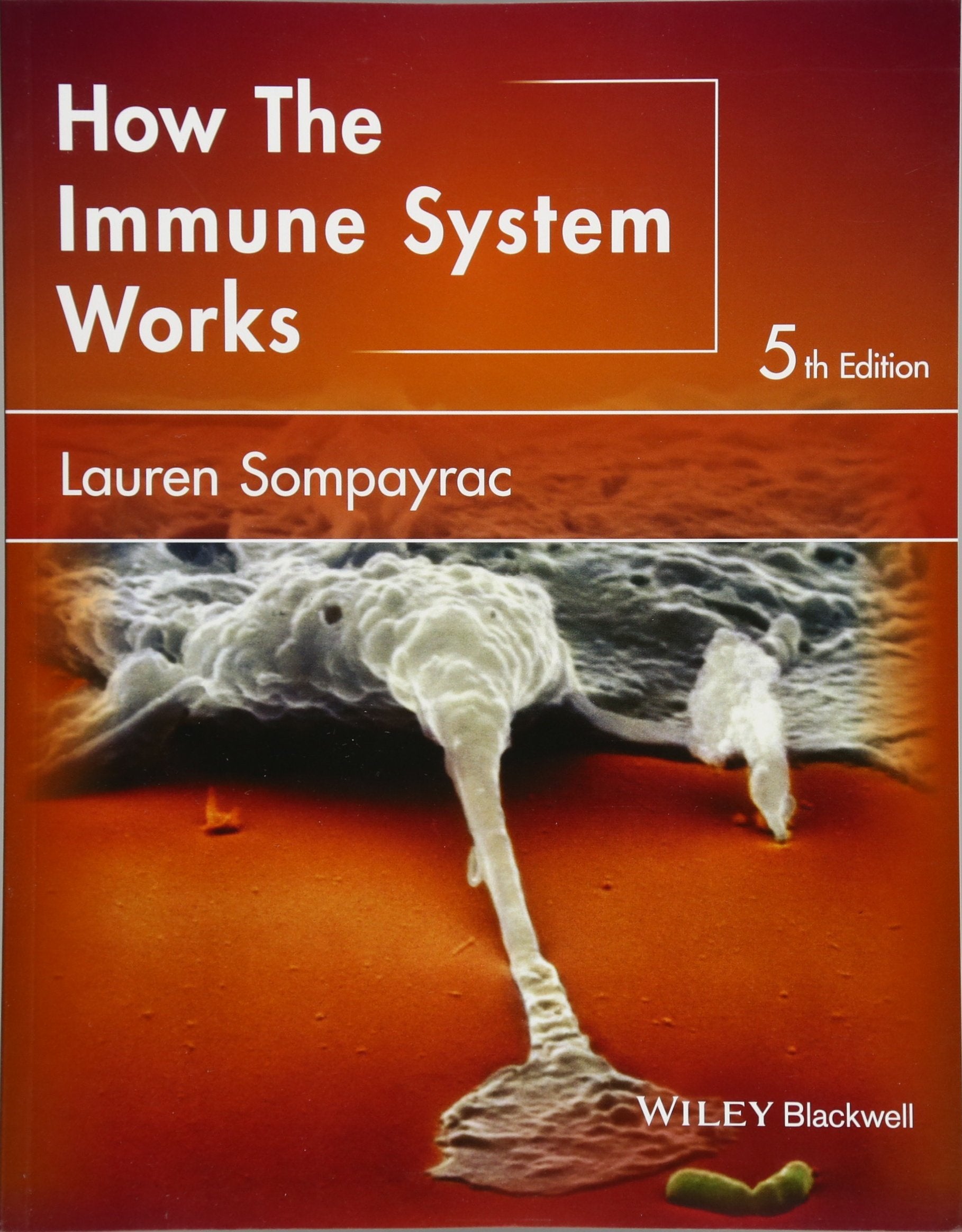 How the Immune System Works (The How it Works Series) Medicine