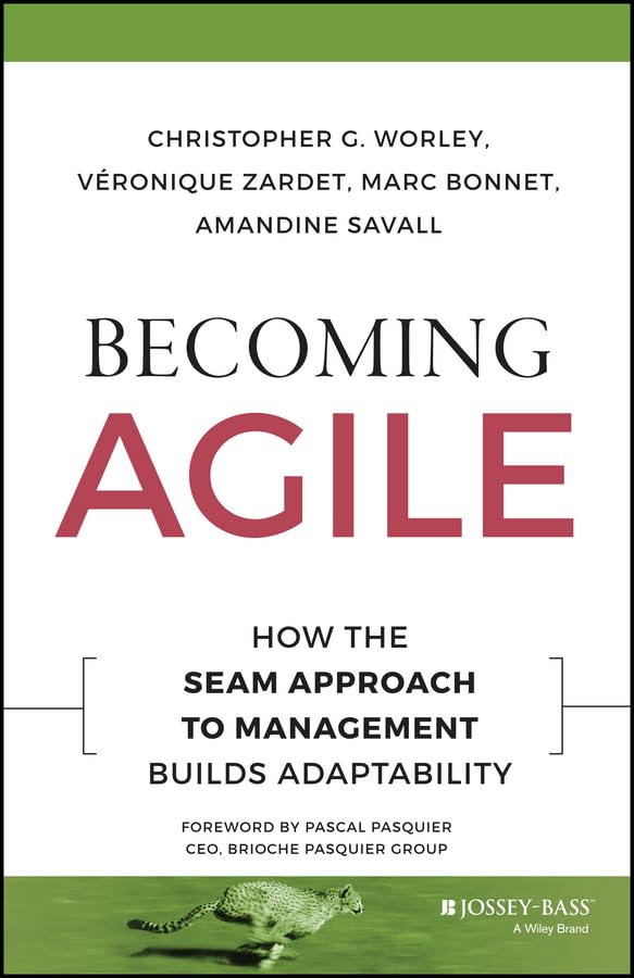 Becoming Agile: How the Seam Approach to Management Builds Adaptability book