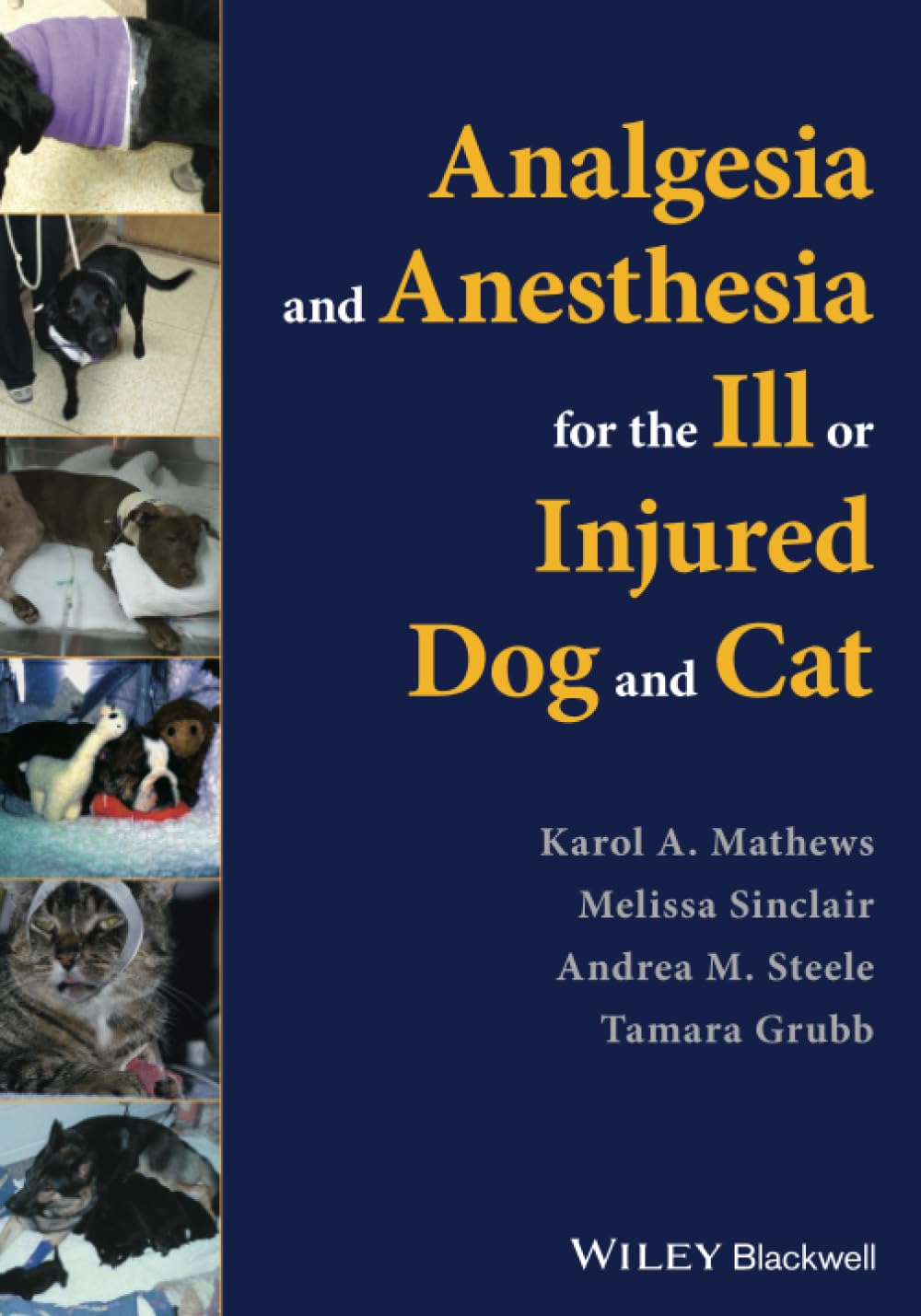 Analgesia and Anesthesia for the Ill or Injured Dog and Cat Medicine