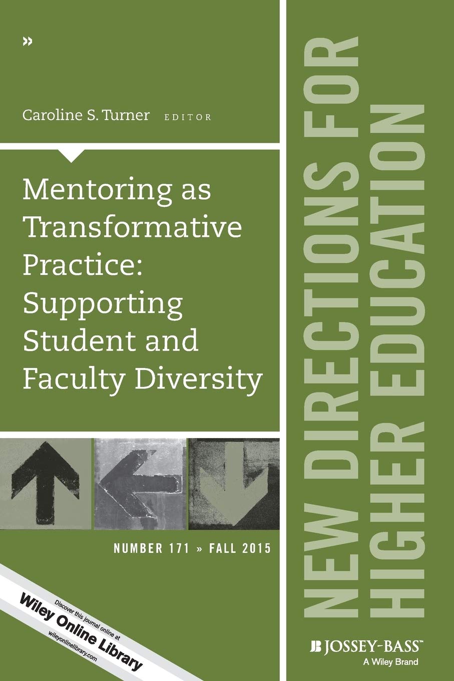 He 171 Mentoring And Diversity: Supporting Student and Faculty Diversity (New Directions for Higher Education, Band 171) Education & Training