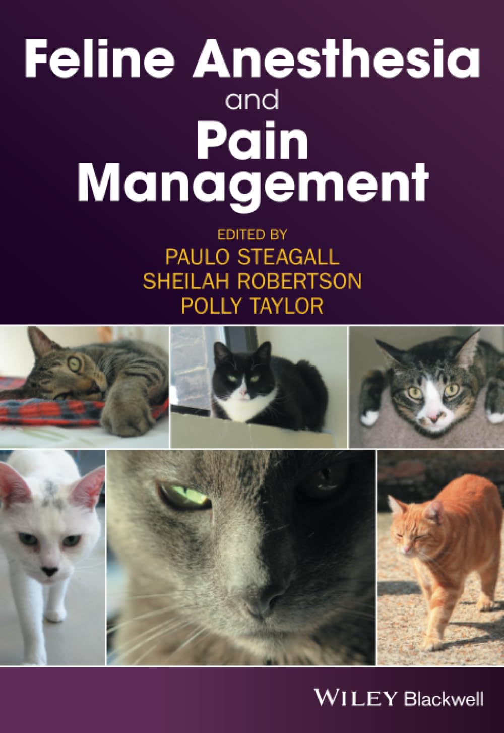 Feline Anesthesia and Pain Management Medicine