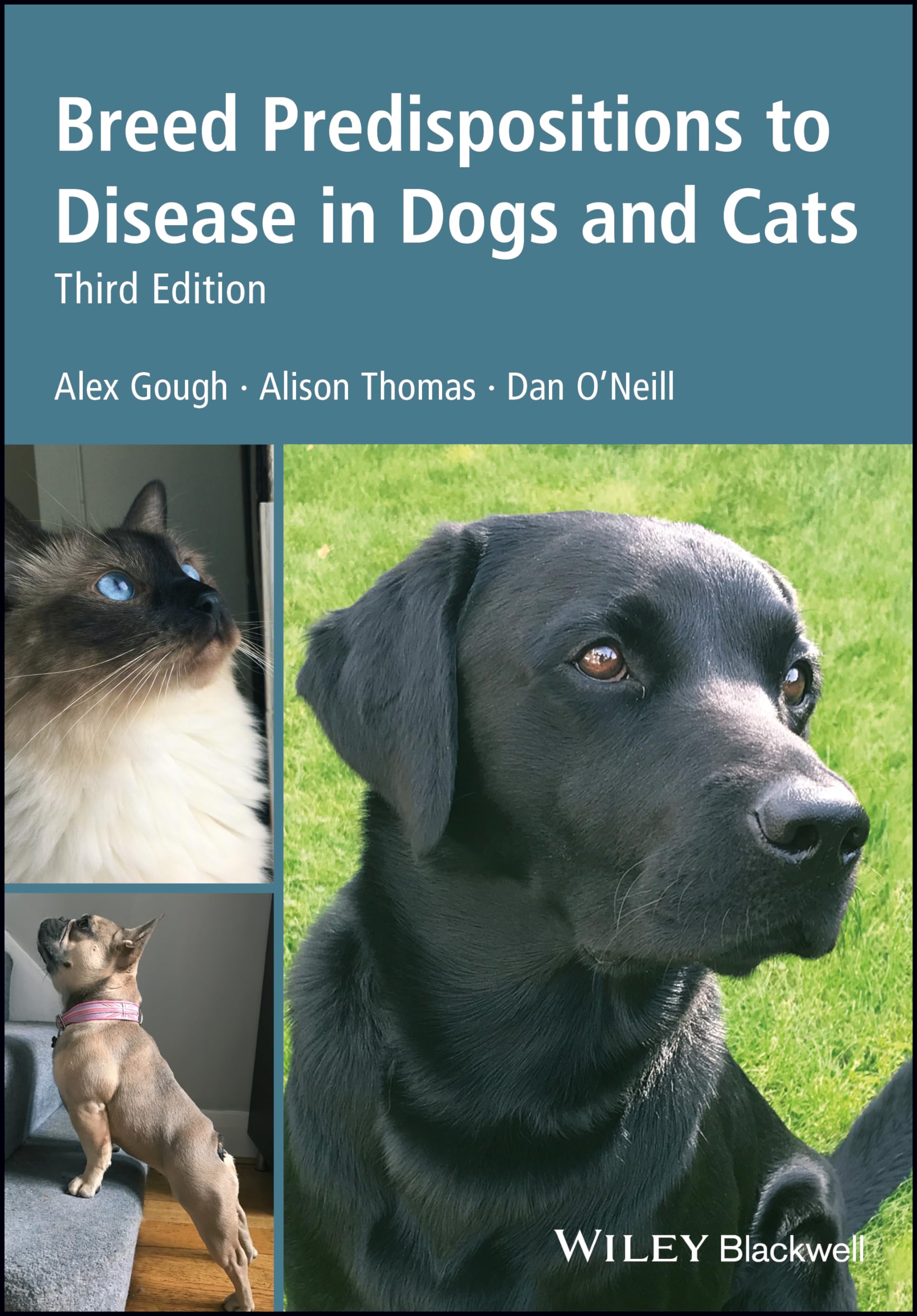 Breed Predispositions to Disease in Dogs and Cats Medicine