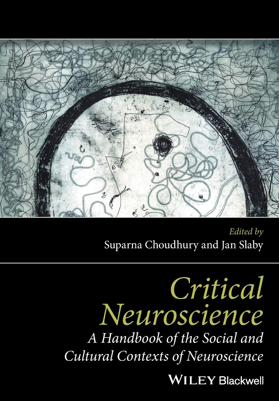 Critical Neuroscience: A Handbook of the Social and Cultural Contexts of Neuroscience Medicine