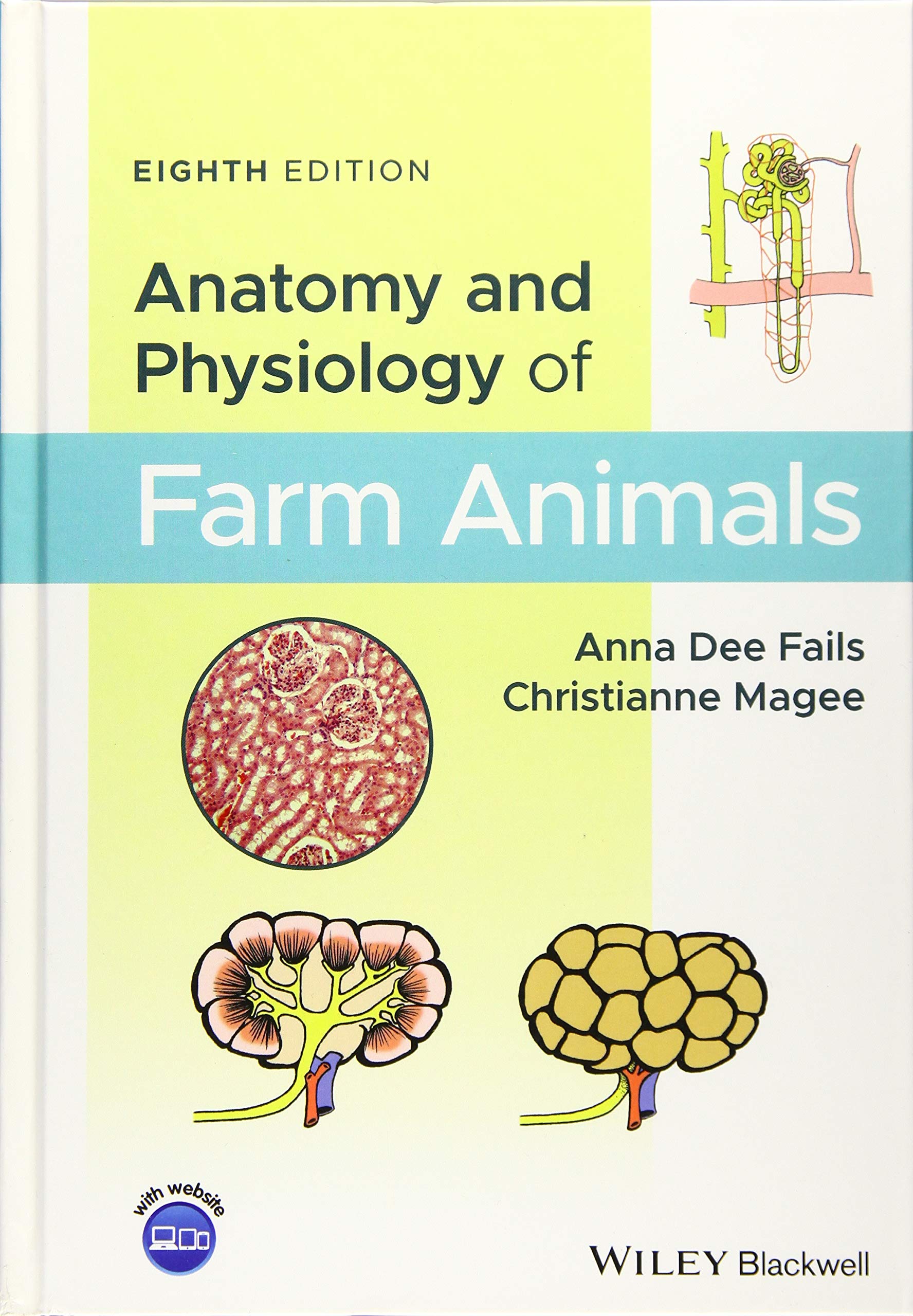 Anatomy and Physiology of Farm Animals Medicine