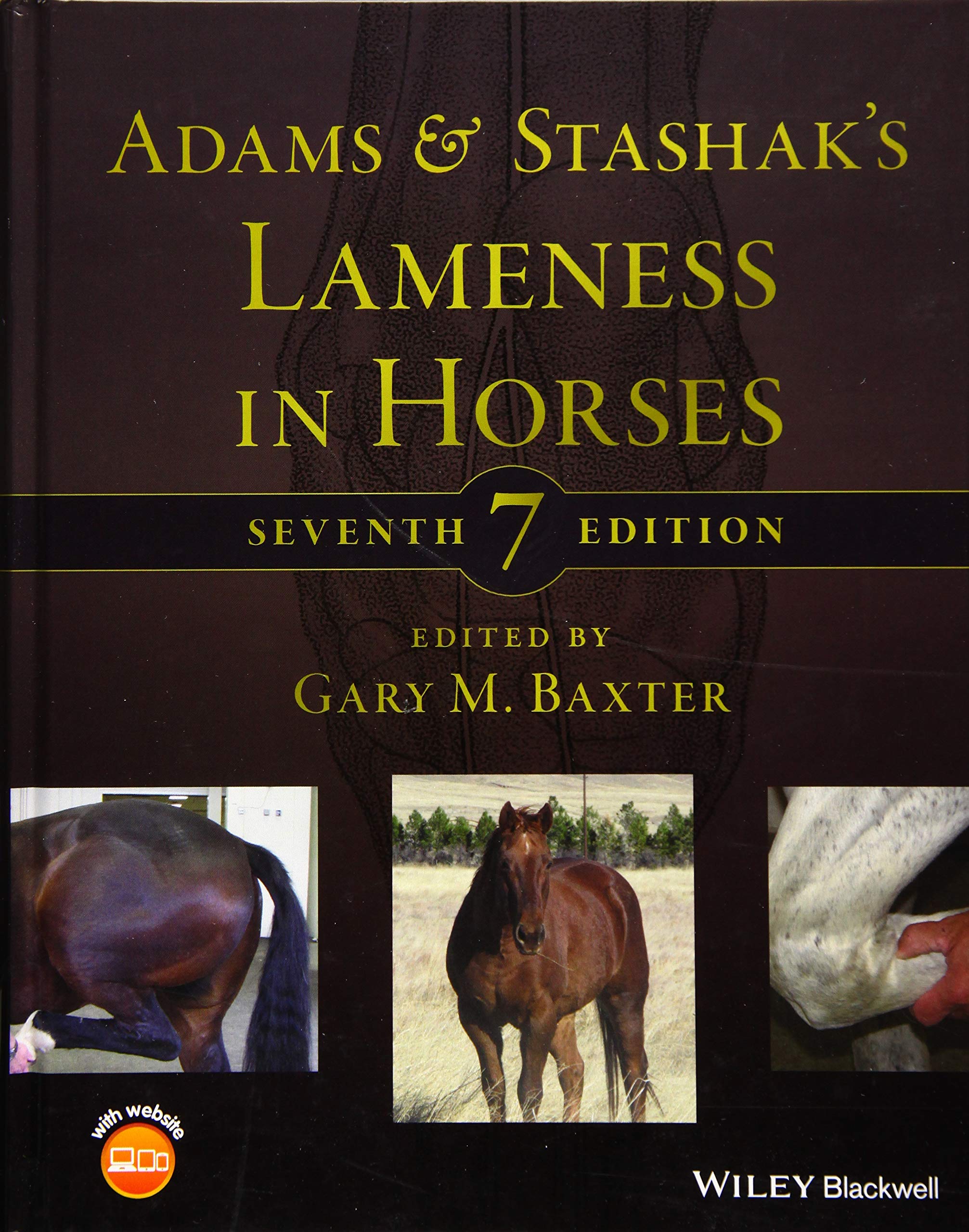 Adams and Stashak's Lameness in Horses book