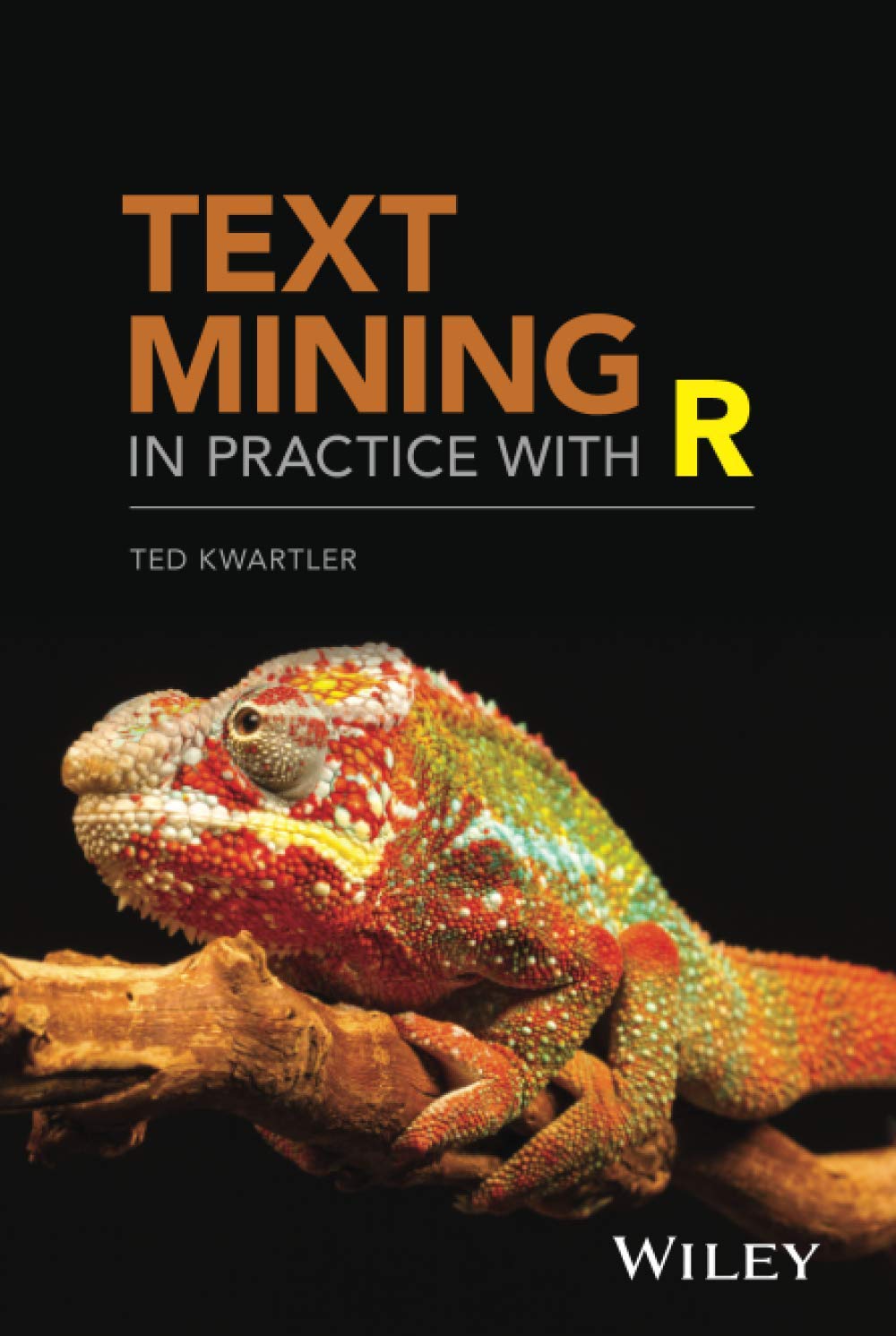 Product Image: Text Mining in Practice with R