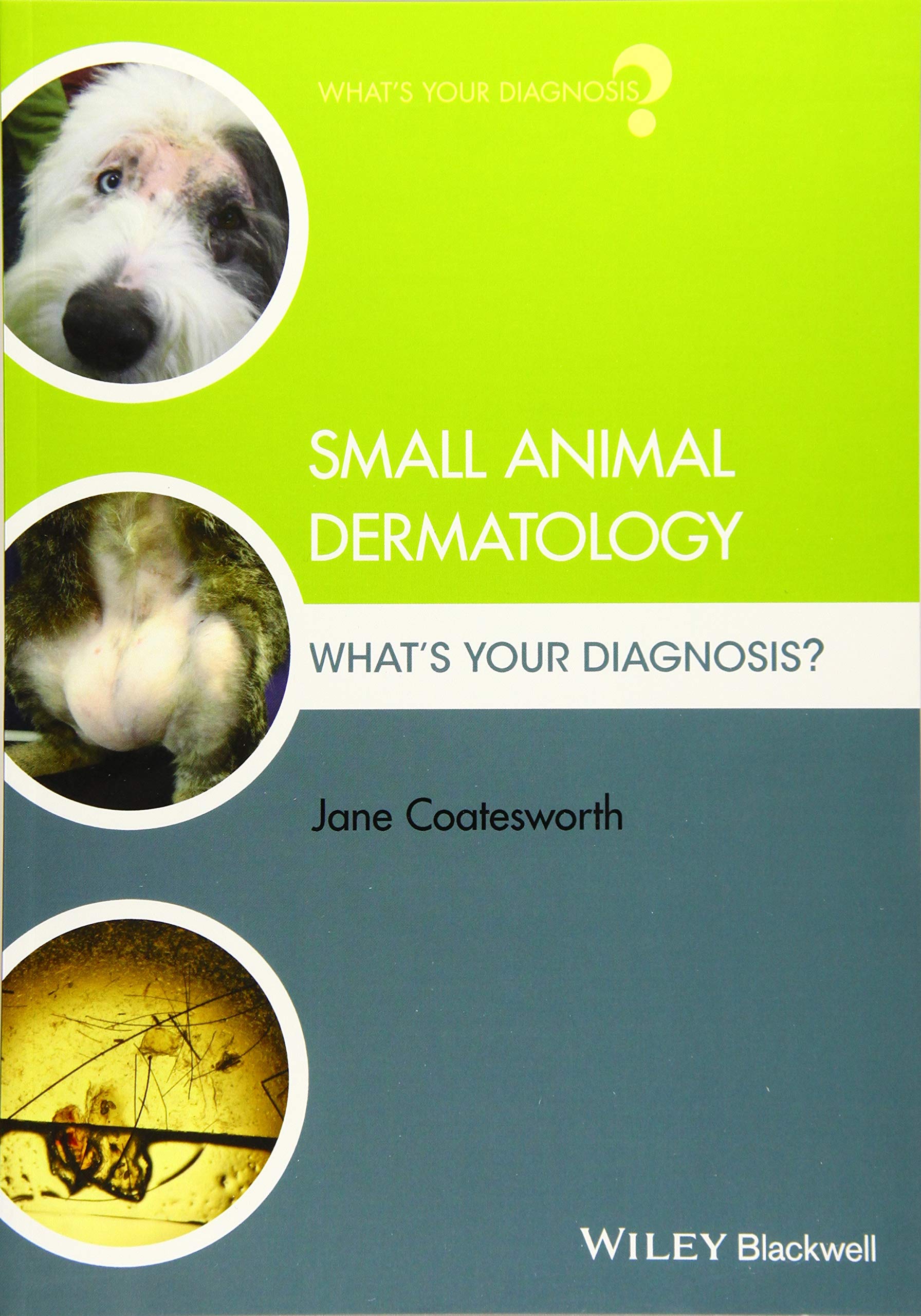 Product Image: Small Animal Dermatology