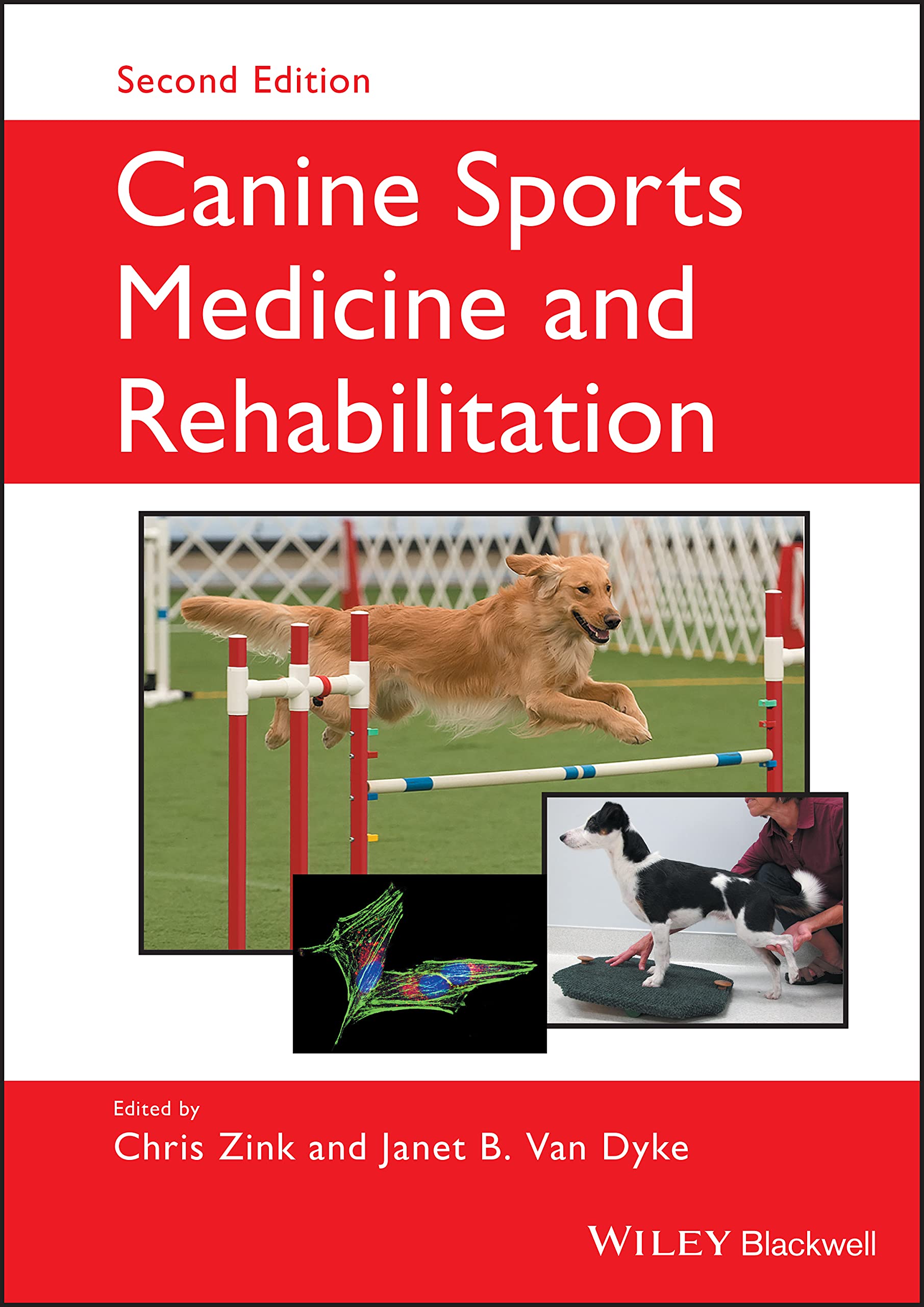 Canine Sports Medicine and Rehabilitation Medicine