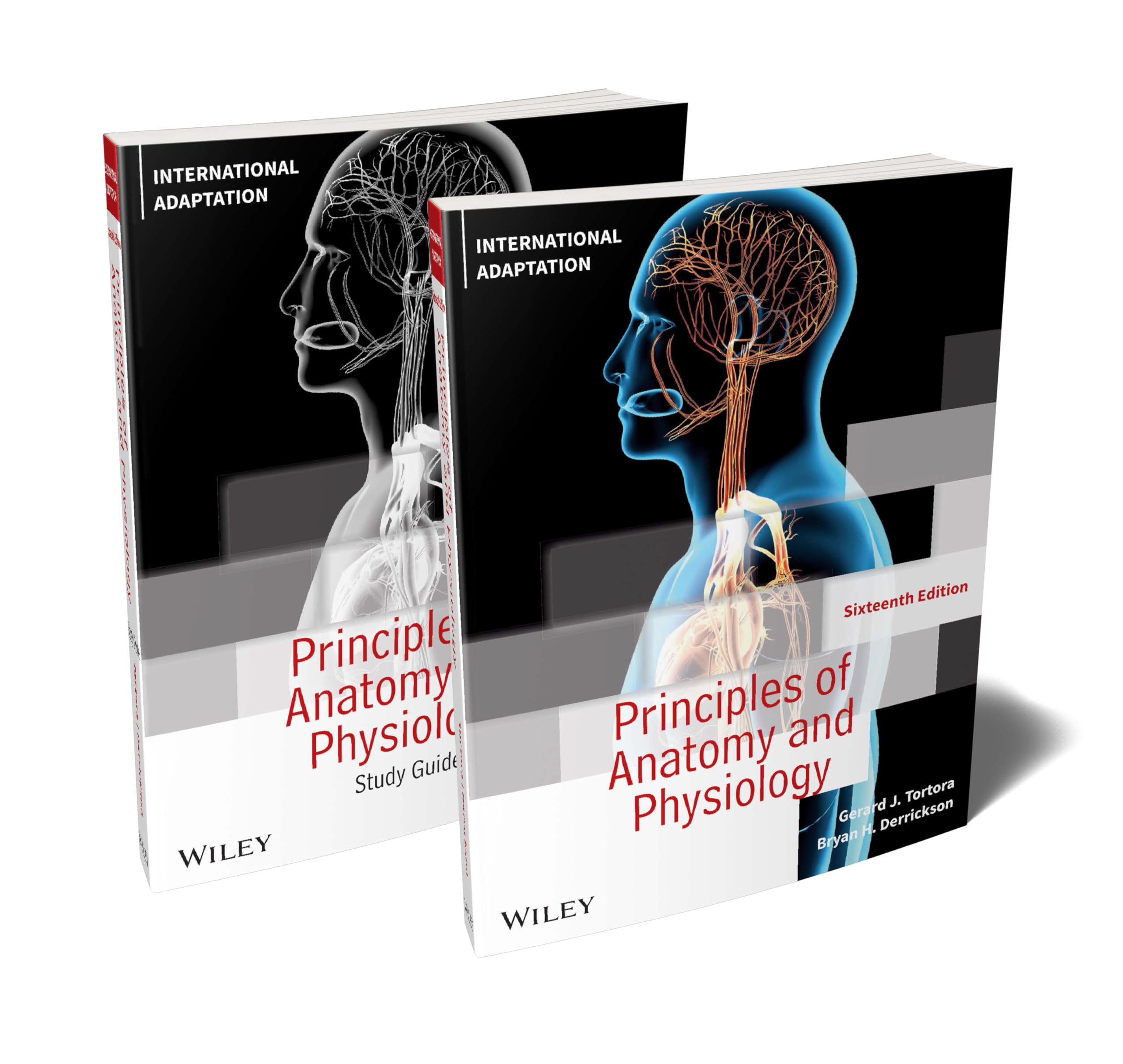 Principles of Anatomy and Physiology + Study Guide, 16e International Adaptation Set book