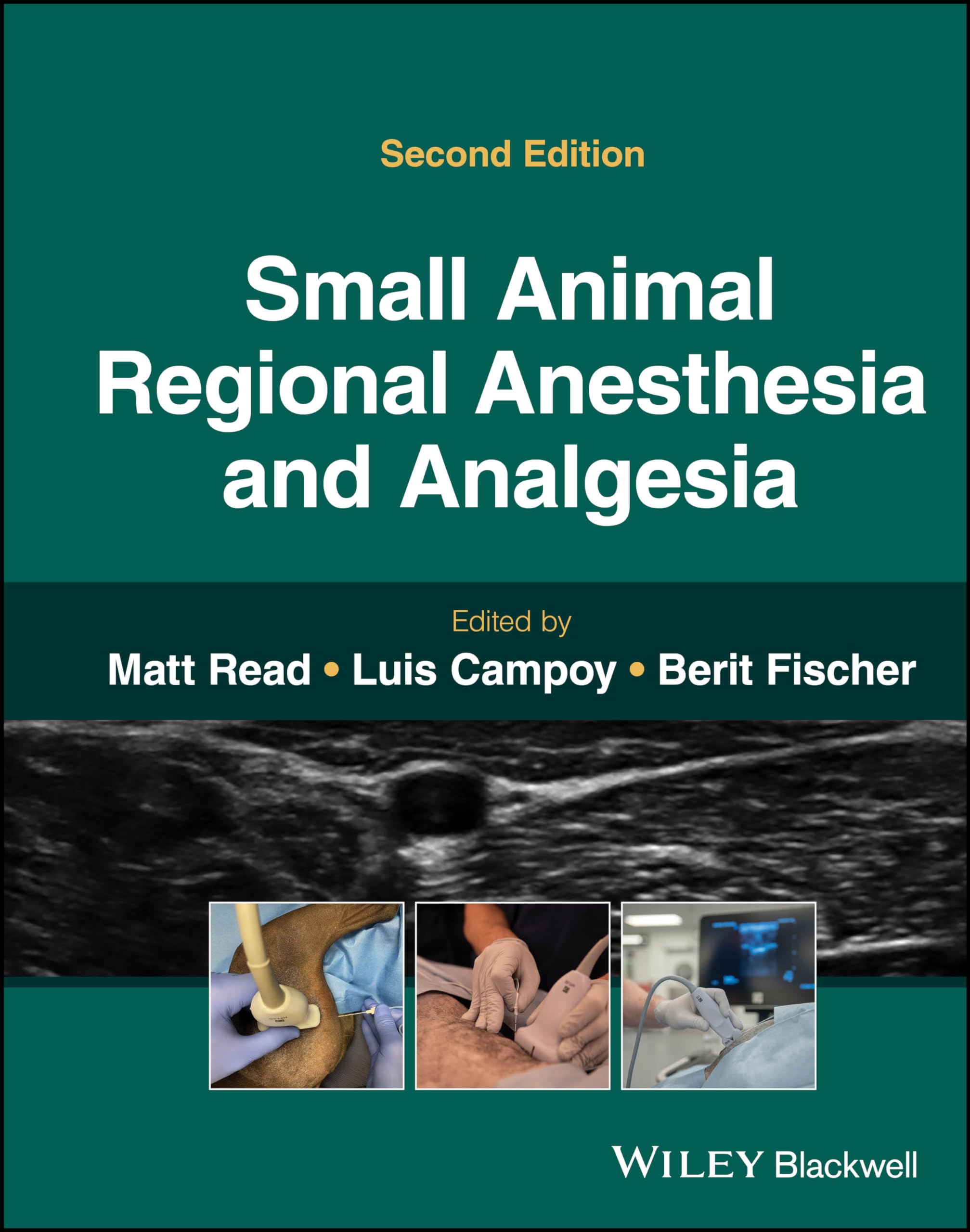 Small Animal Regional Anesthesia and Analgesia Medicine