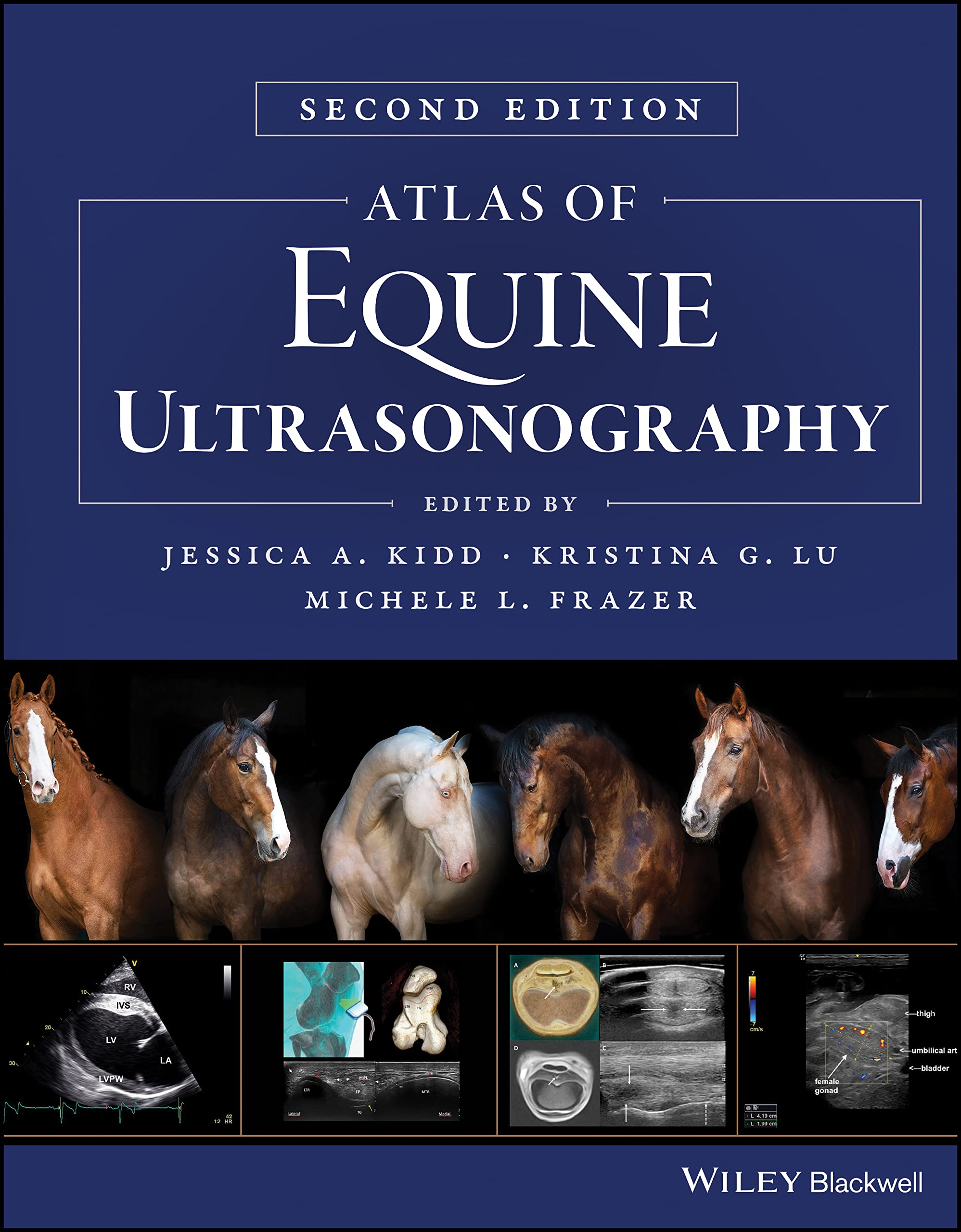 Atlas of Equine Ultrasonography Medicine
