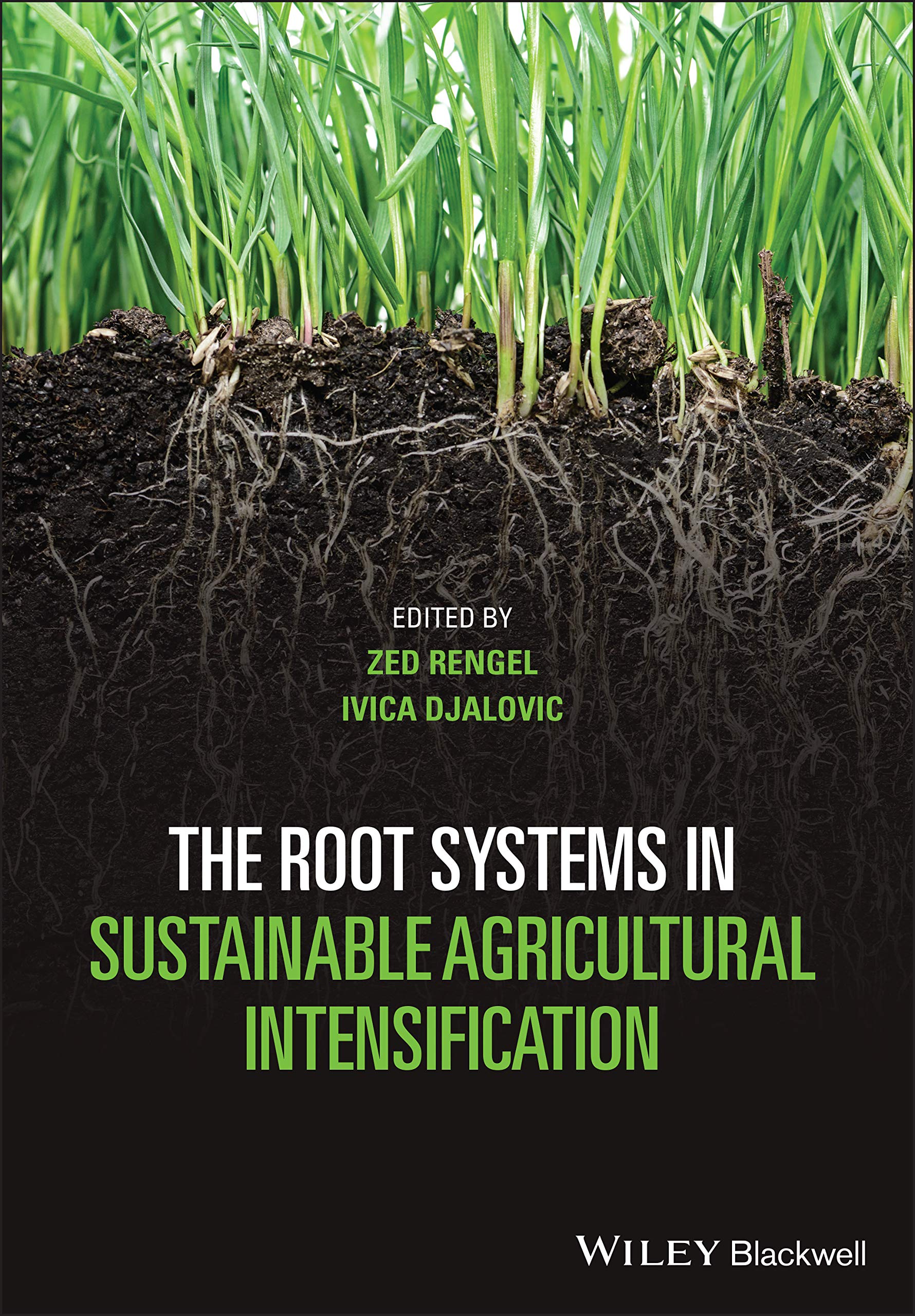 The Root Systems in Sustainable Agricultural Intensification Natural Sciences