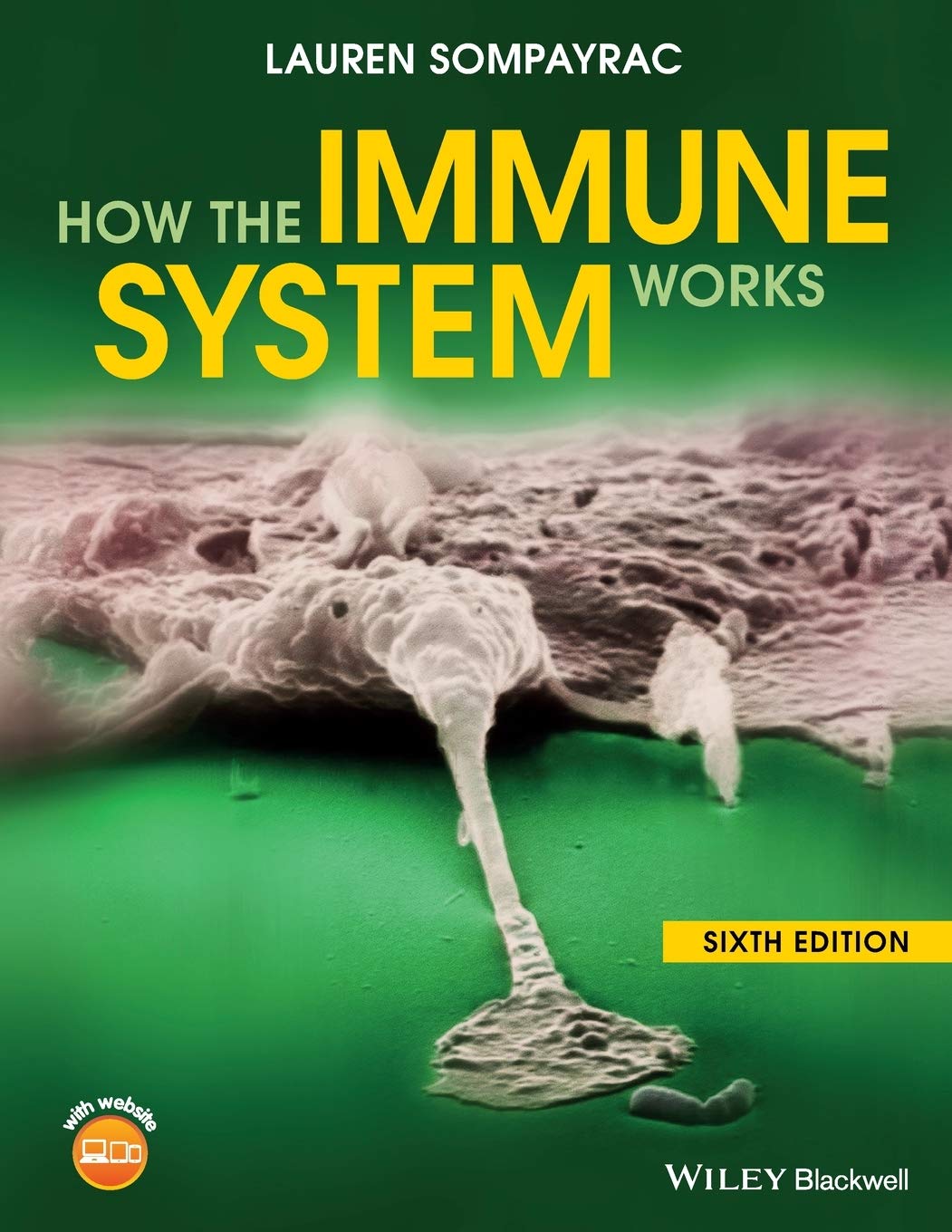 How the Immune System Works (The How it Works Series) Medicine