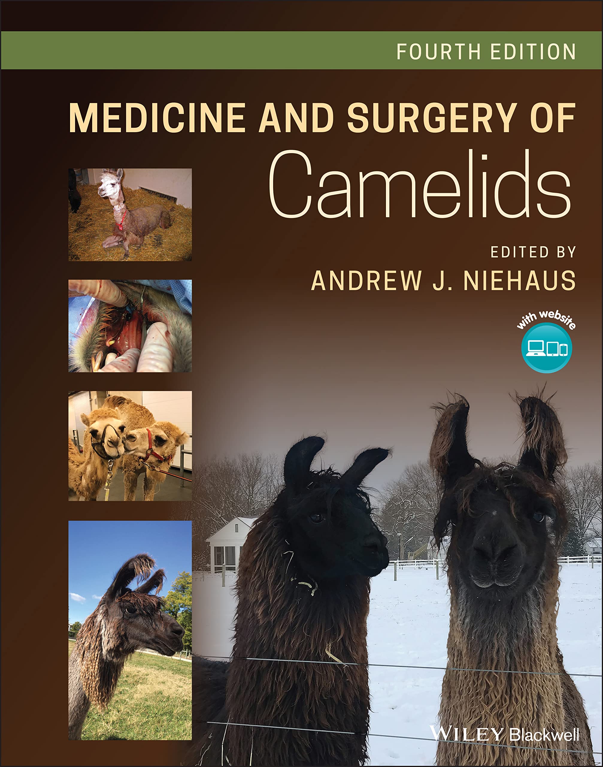 Medicine and Surgery of Camelids Medicine