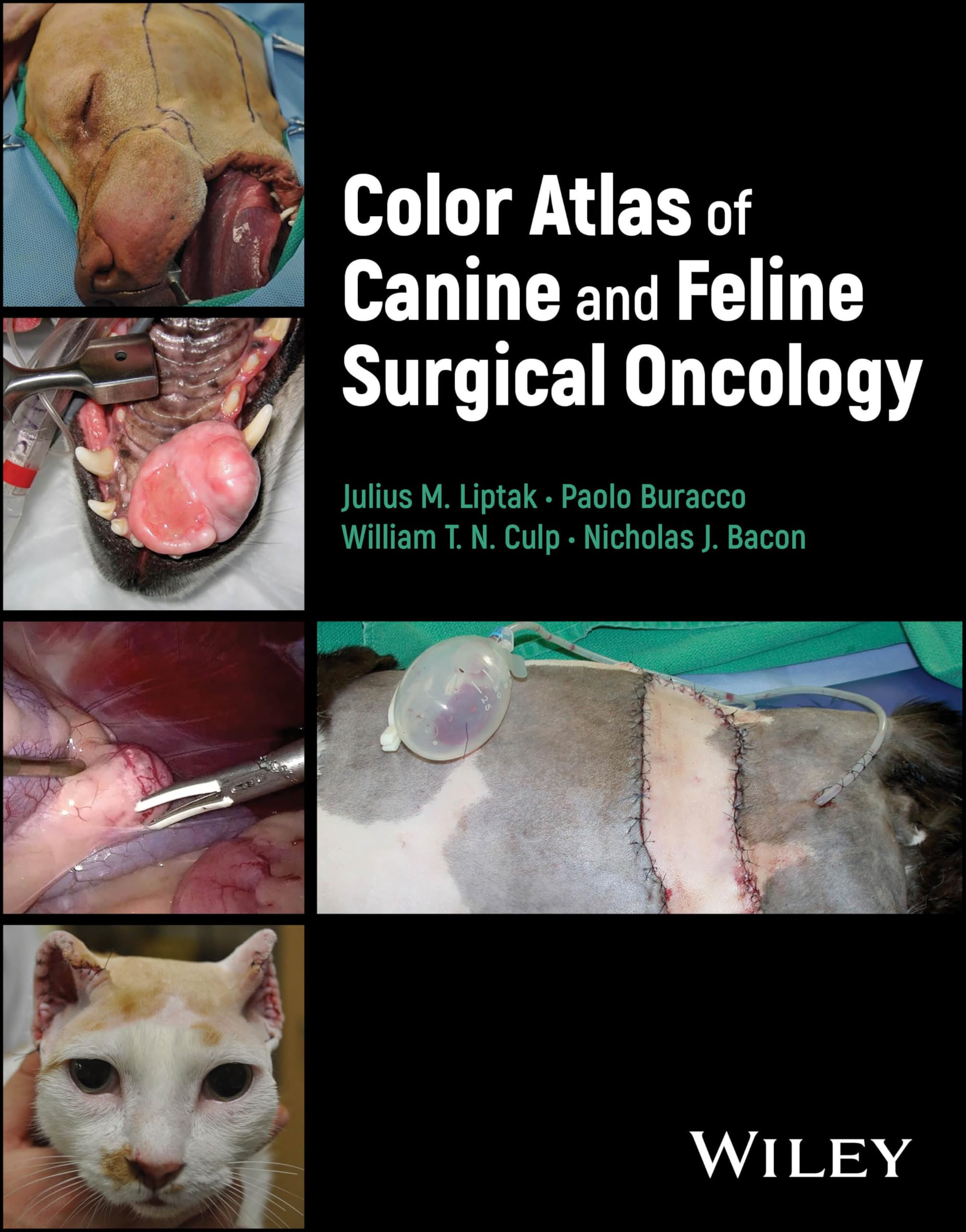 Color Atlas of Canine and Feline Surgical Oncology Medicine