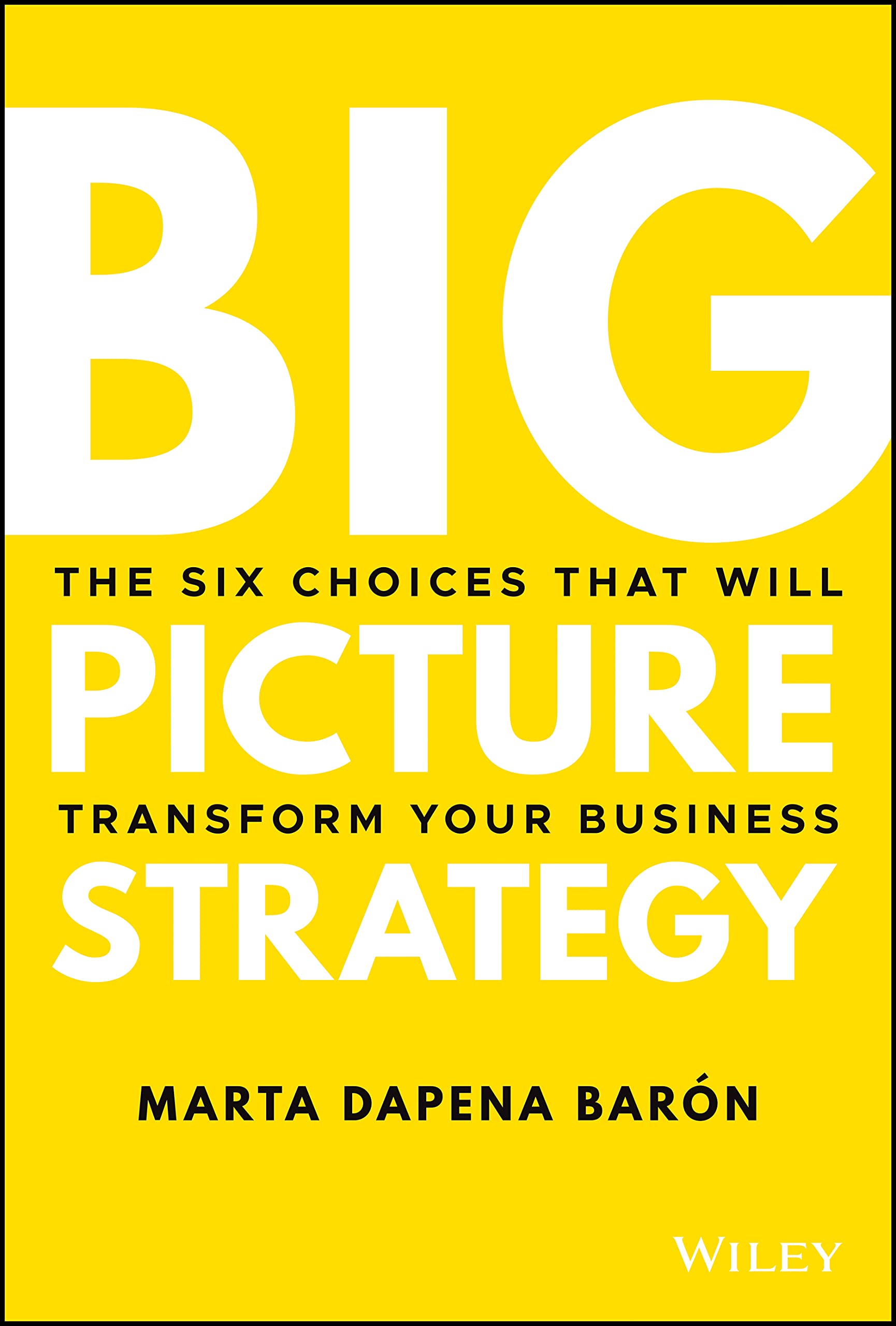 Big Picture Strategy: The Six Choices That Will Transform Your Business Law