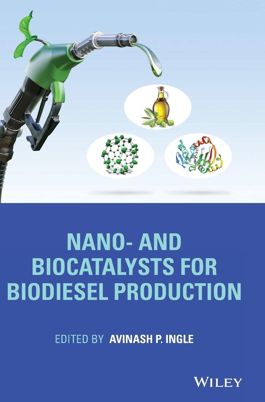 Nano- and Biocatalysts for Biodiesel Production Business & Technology