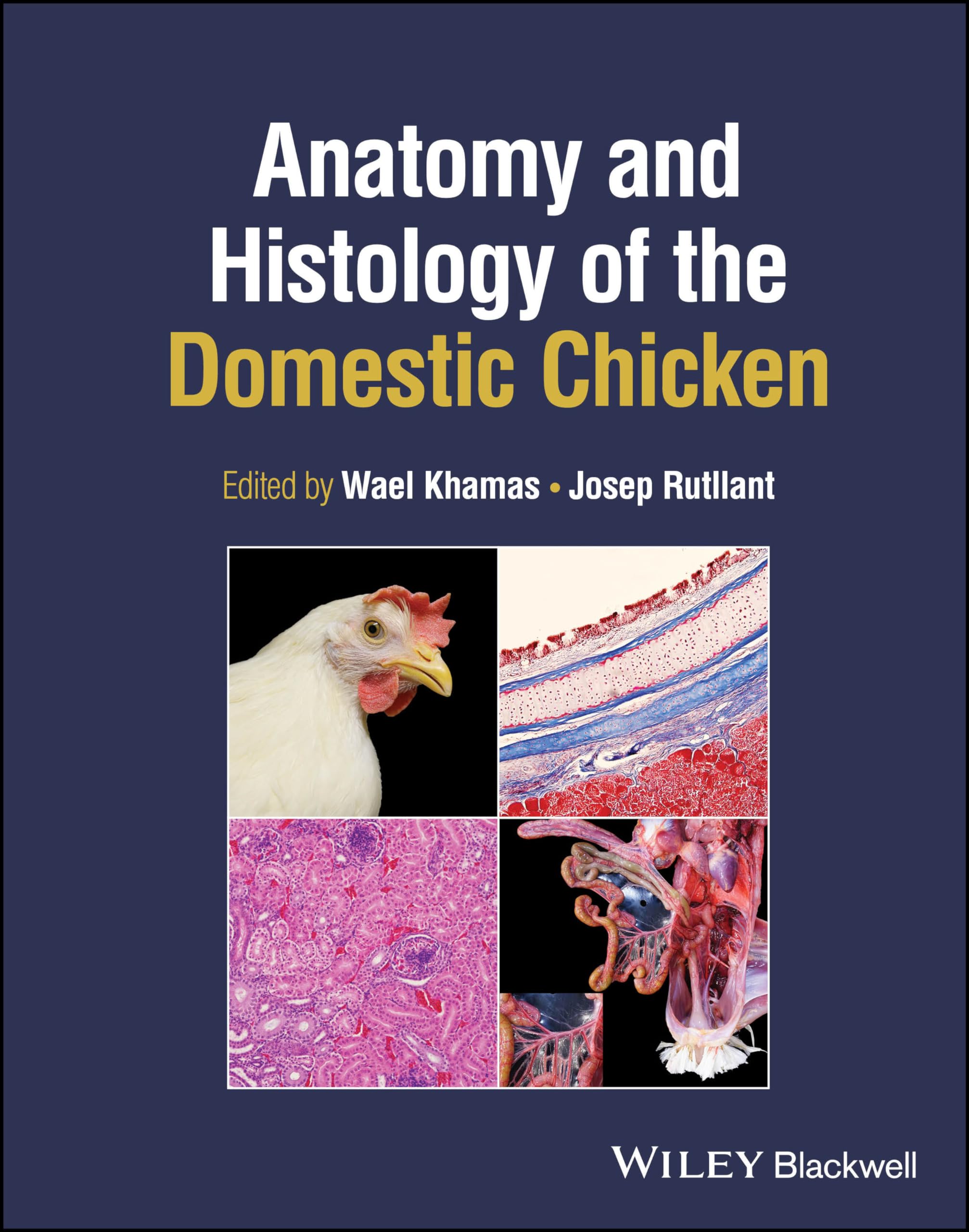 Anatomy and Histology of the Domestic Chicken Medicine