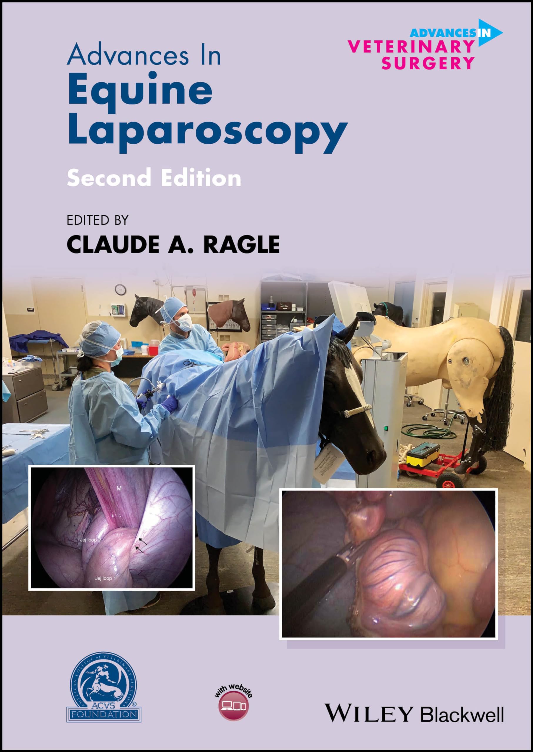 Advances in Equine Laparoscopy (AVS - Advances in Vetinary Surgery) Medicine