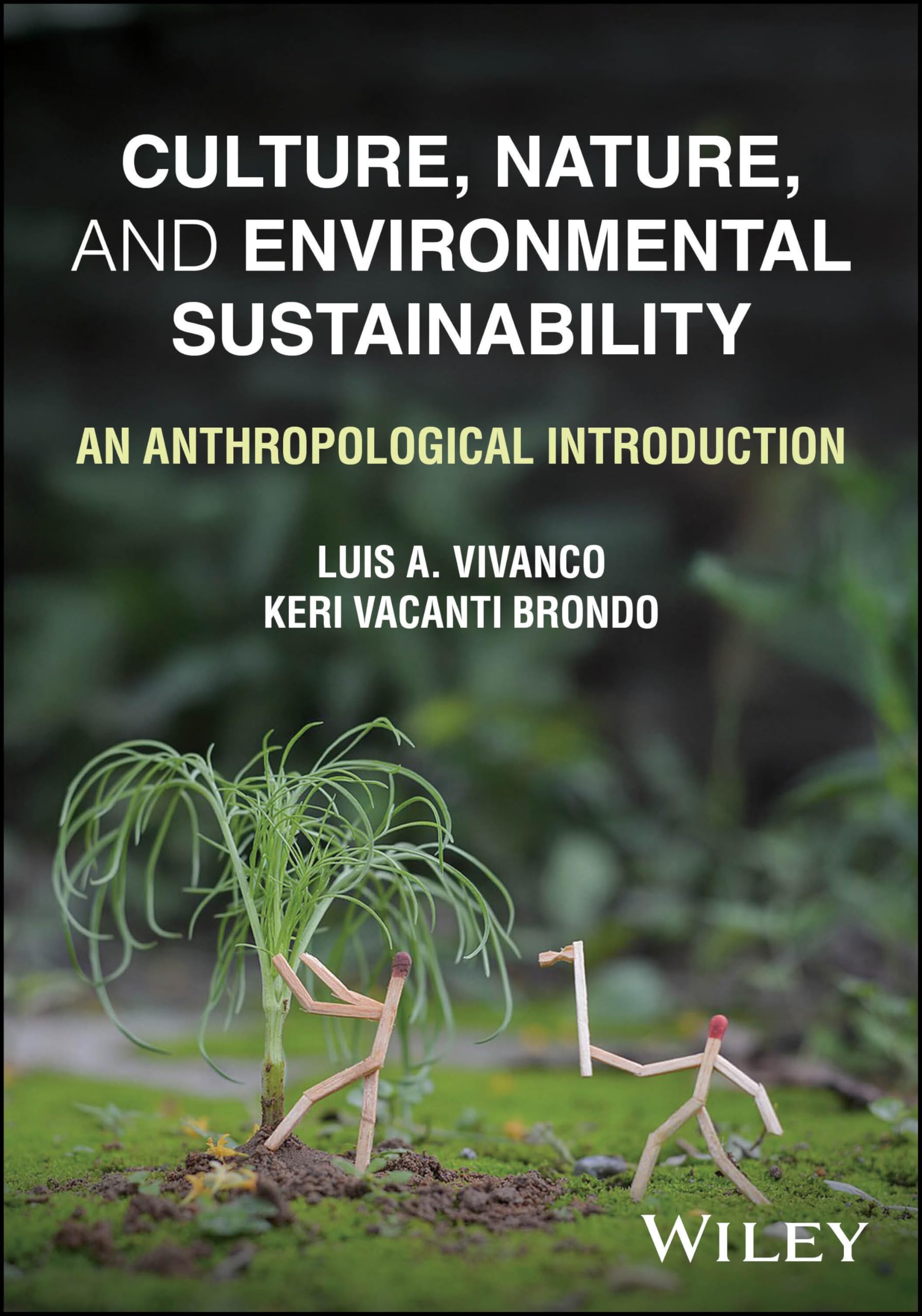 Culture, Nature and Environmental Sustainability: An Anthropological Introduction book