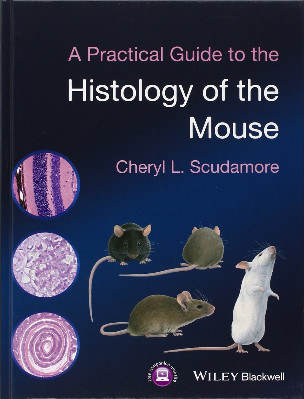A Practical Guide to the Histology of the Mouse book