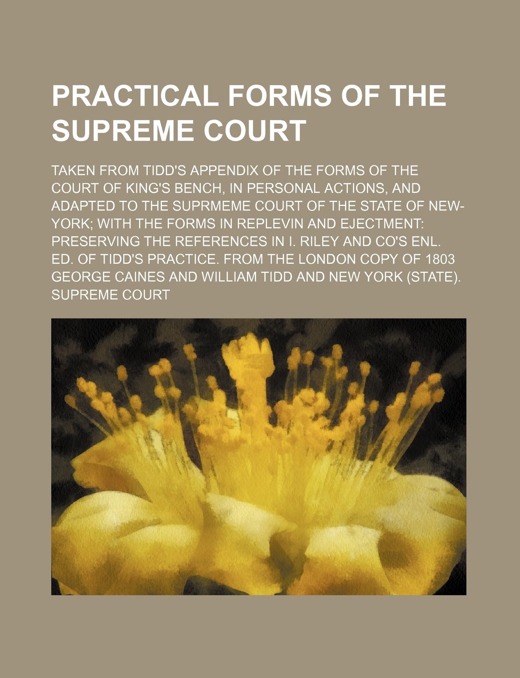 Practical Forms of the Supreme Court; Taken from Tidd's Appendix of the Forms of the Court of King's Bench, in Personal Actions, and Adapted to the ... With the Forms in Replevin and Ejectment Books