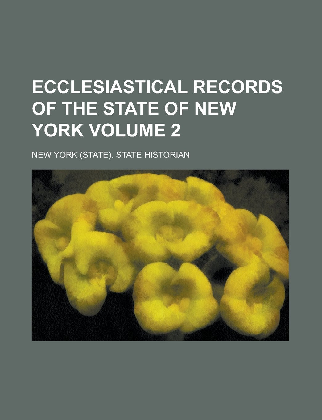 Ecclesiastical Records of the State of New York Volume 2 Books