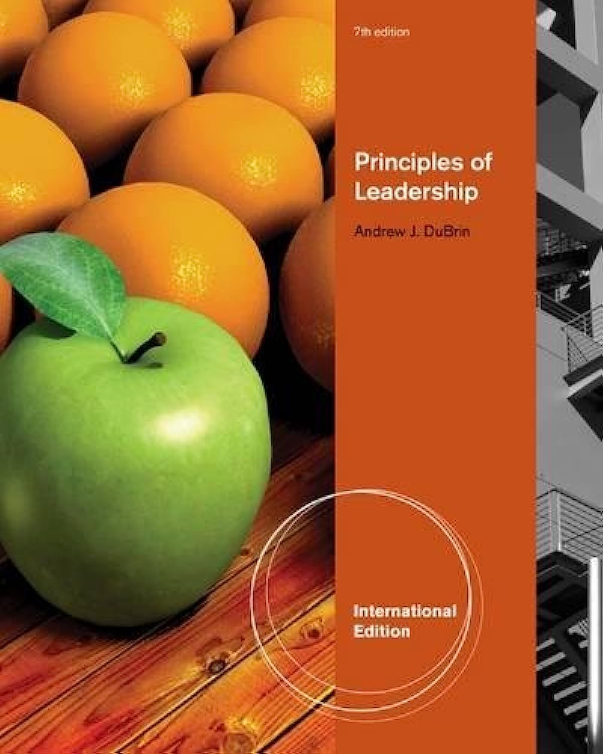 Principles Of Leadership: International Edition Law