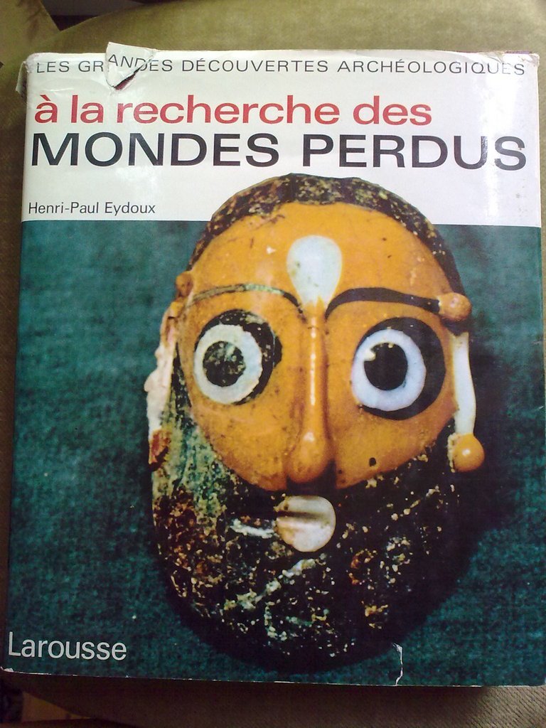 A La Recherche Des Mondes Perdus book
