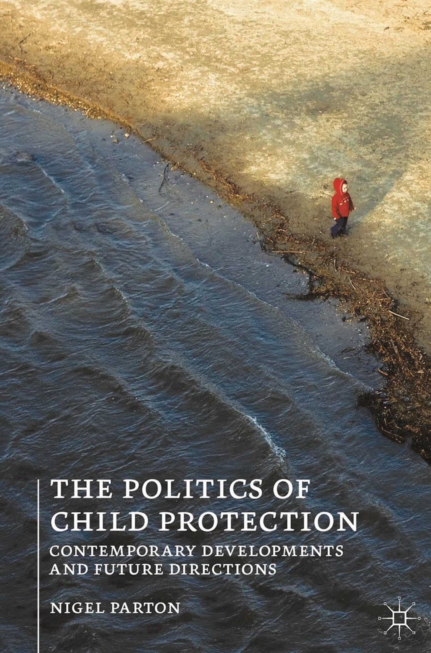 The Politics of Child Protection Social Sciences