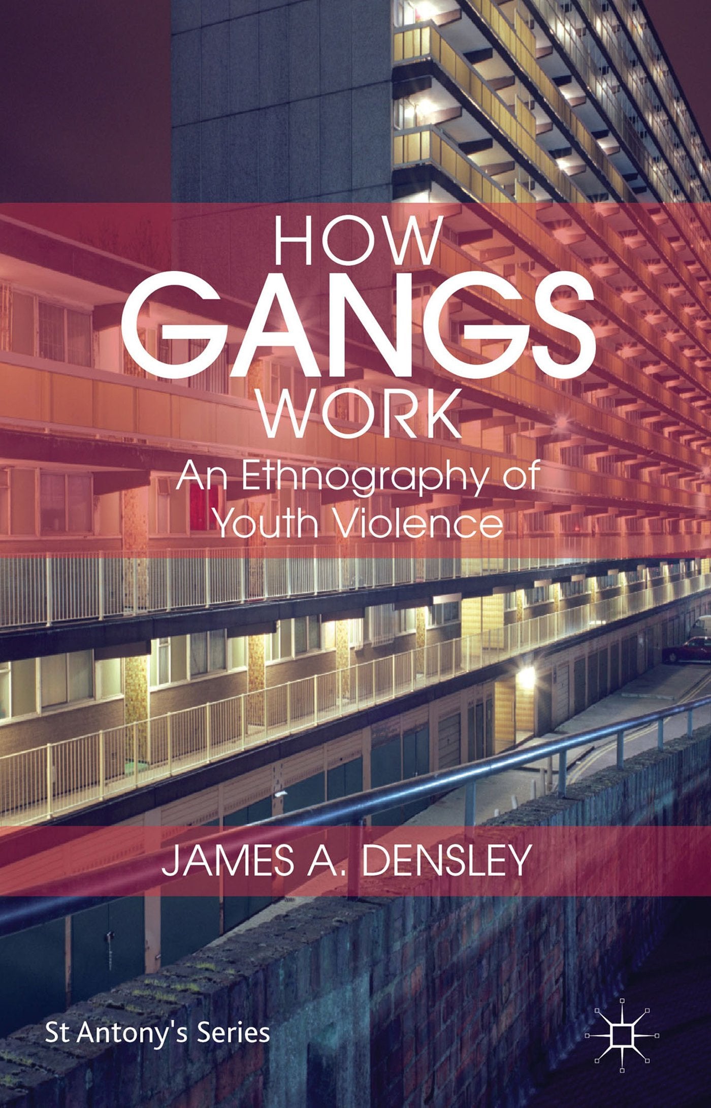 How Gangs Work: An Ethnography of Youth Violence (St Antony's Series) Law