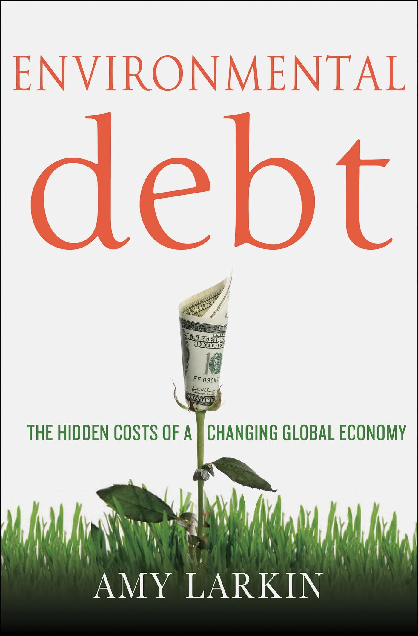 Environmental Debt: The Hidden Costs of a Changing Global Economy Business, Finance & Career