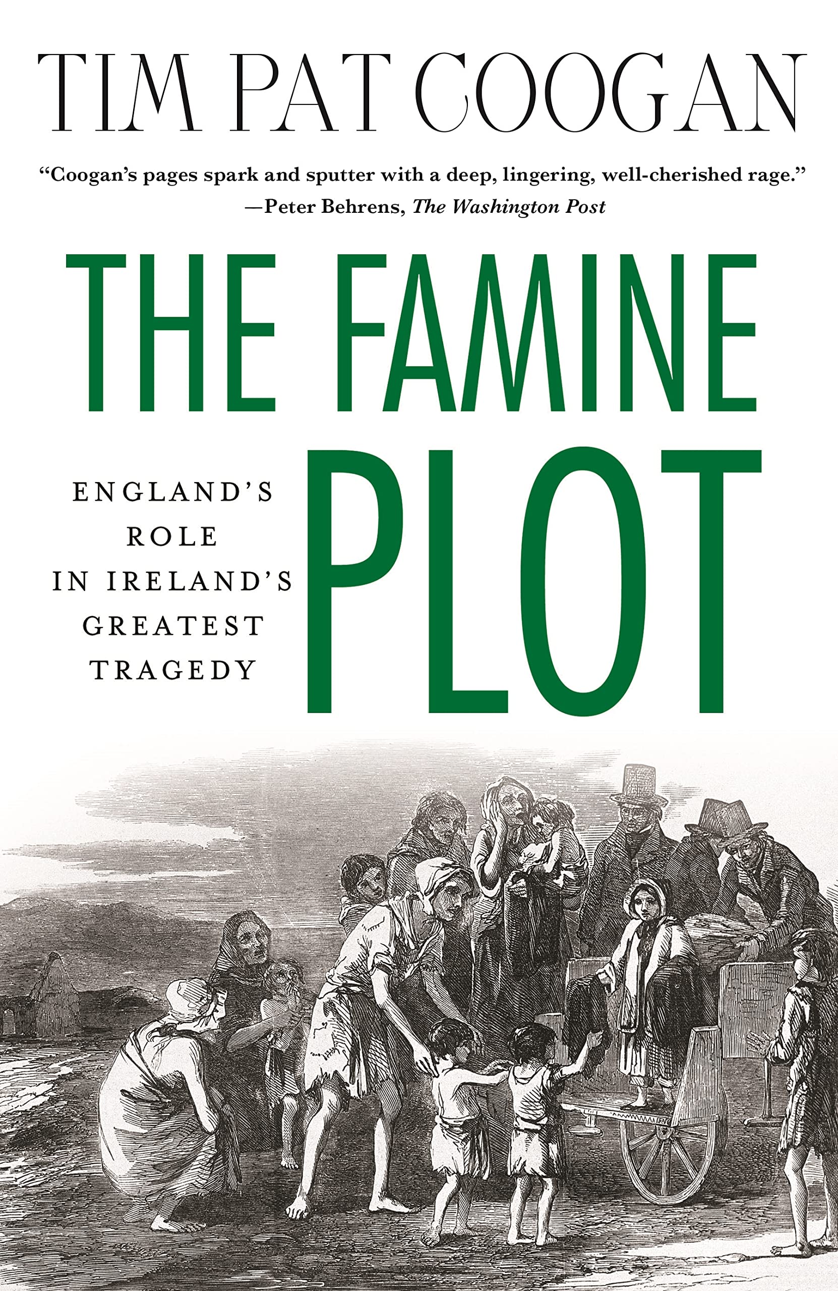 The Famine Plot: England's Role in Ireland's Greatest Tragedy Books
