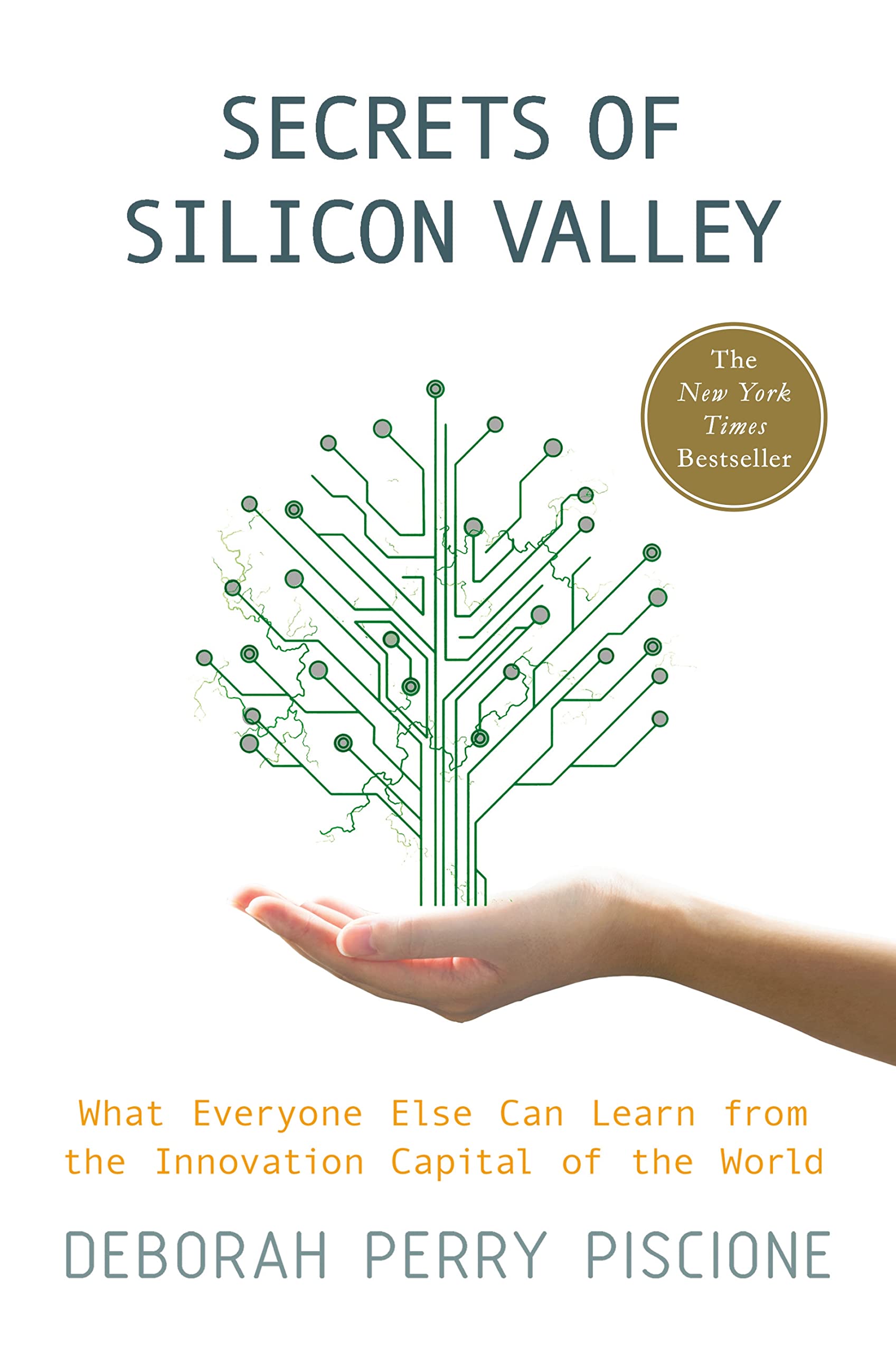 Secrets of Silicon Valley: What Everyone Else Can Learn From the Innovation Capital of the World Law