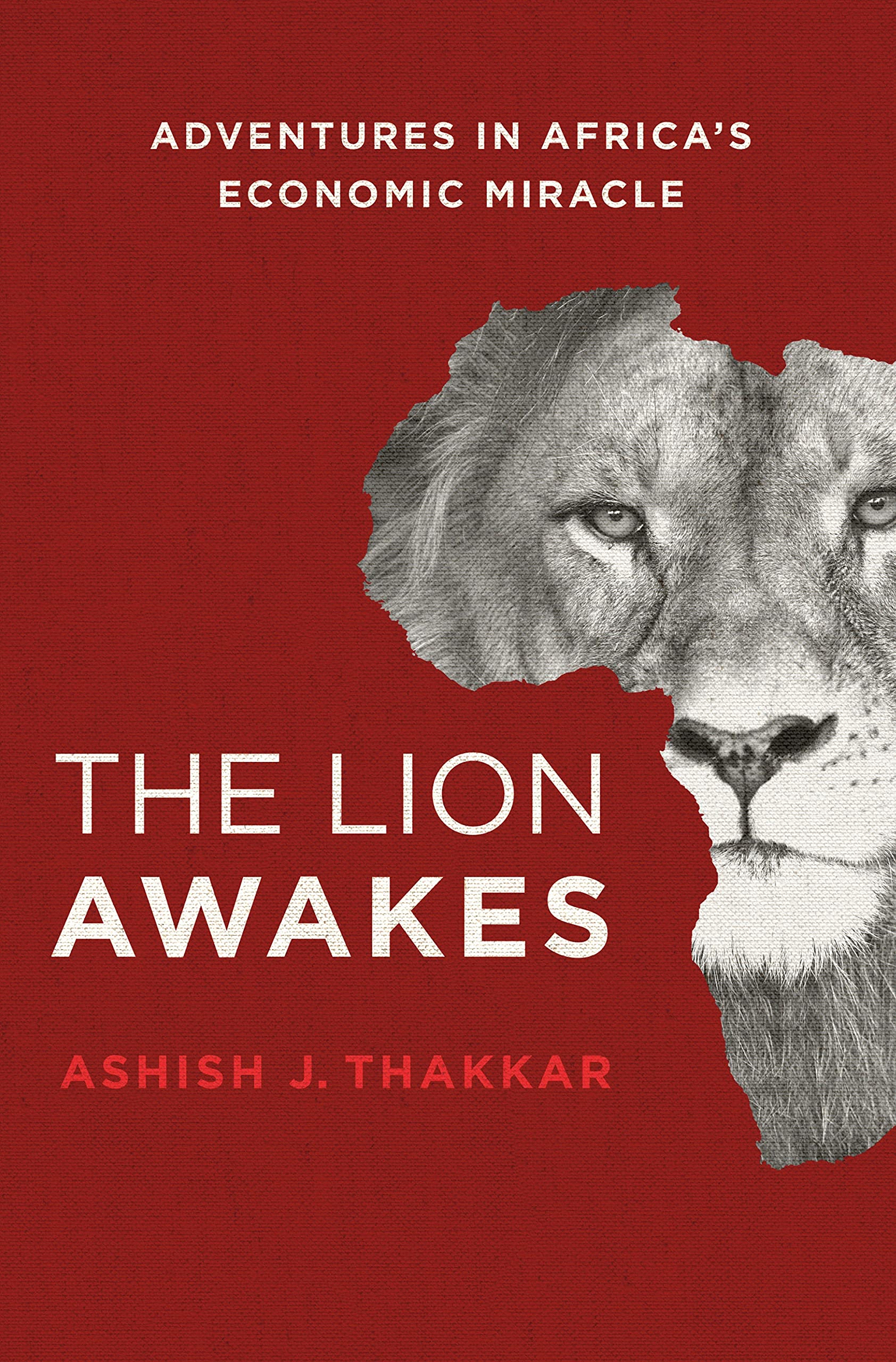 The Lion Awakes: Adventures in Africa's Economic Miracle Law