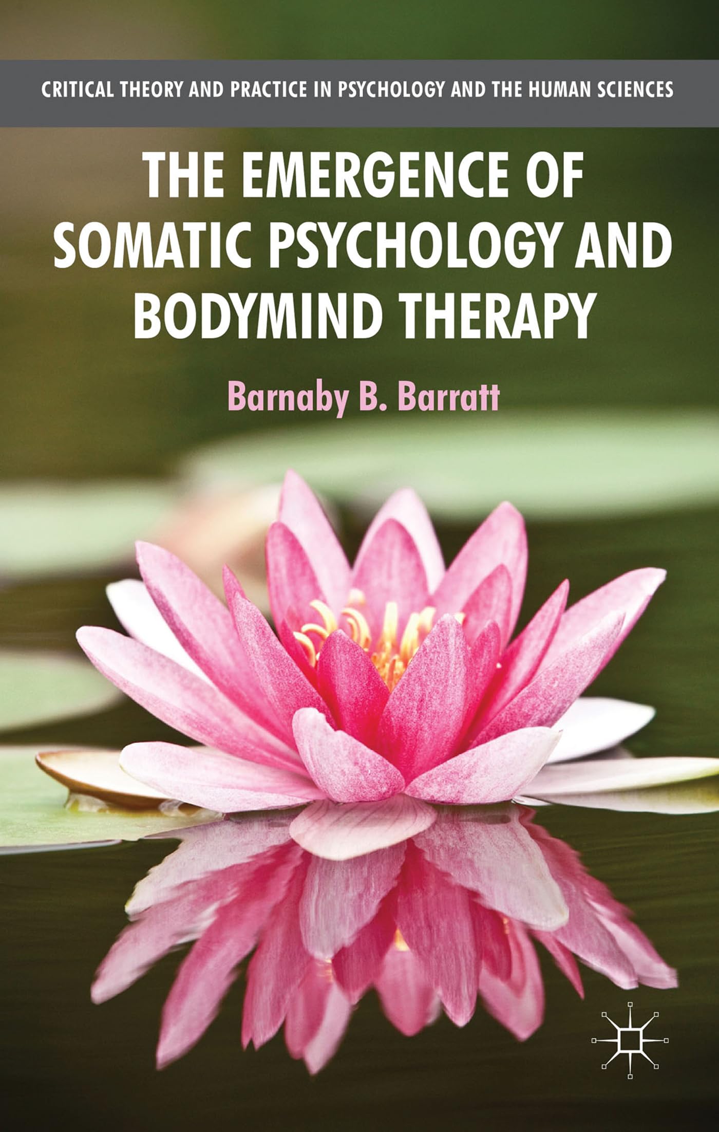 The Emergence of Somatic Psychology and Bodymind Therapy book