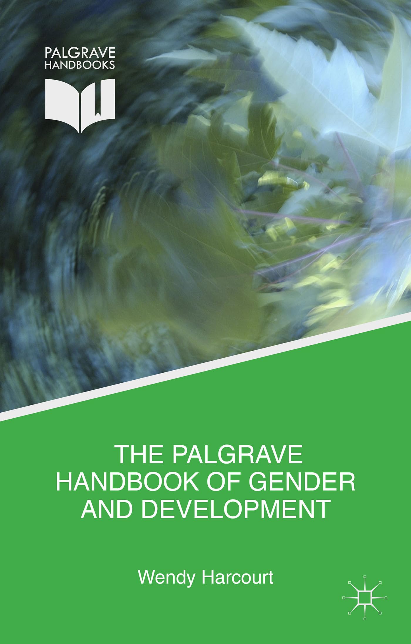 The Palgrave Handbook of Gender and Development: Critical Engagements in Feminist Theory and Practice book